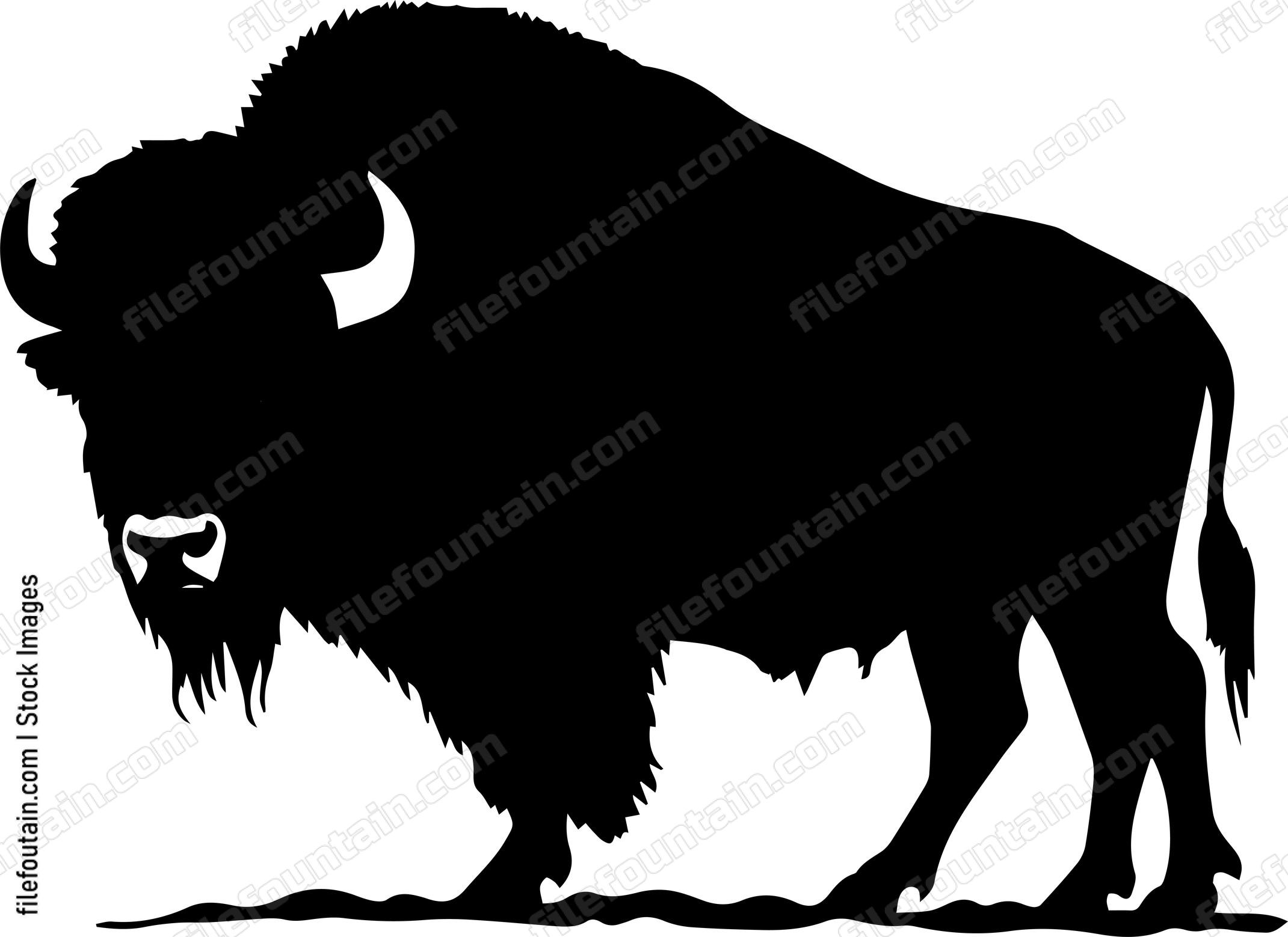 Bison