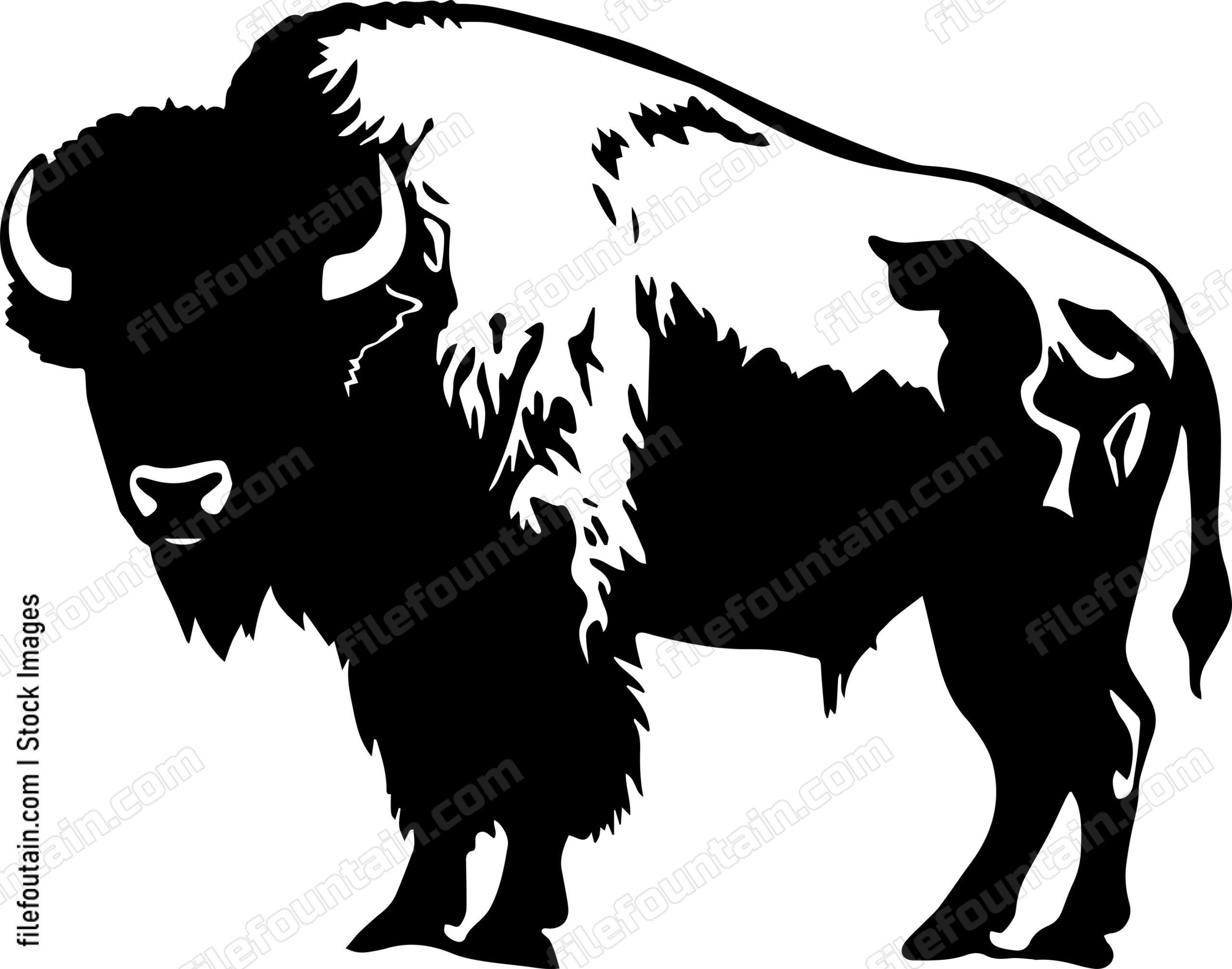 Bison