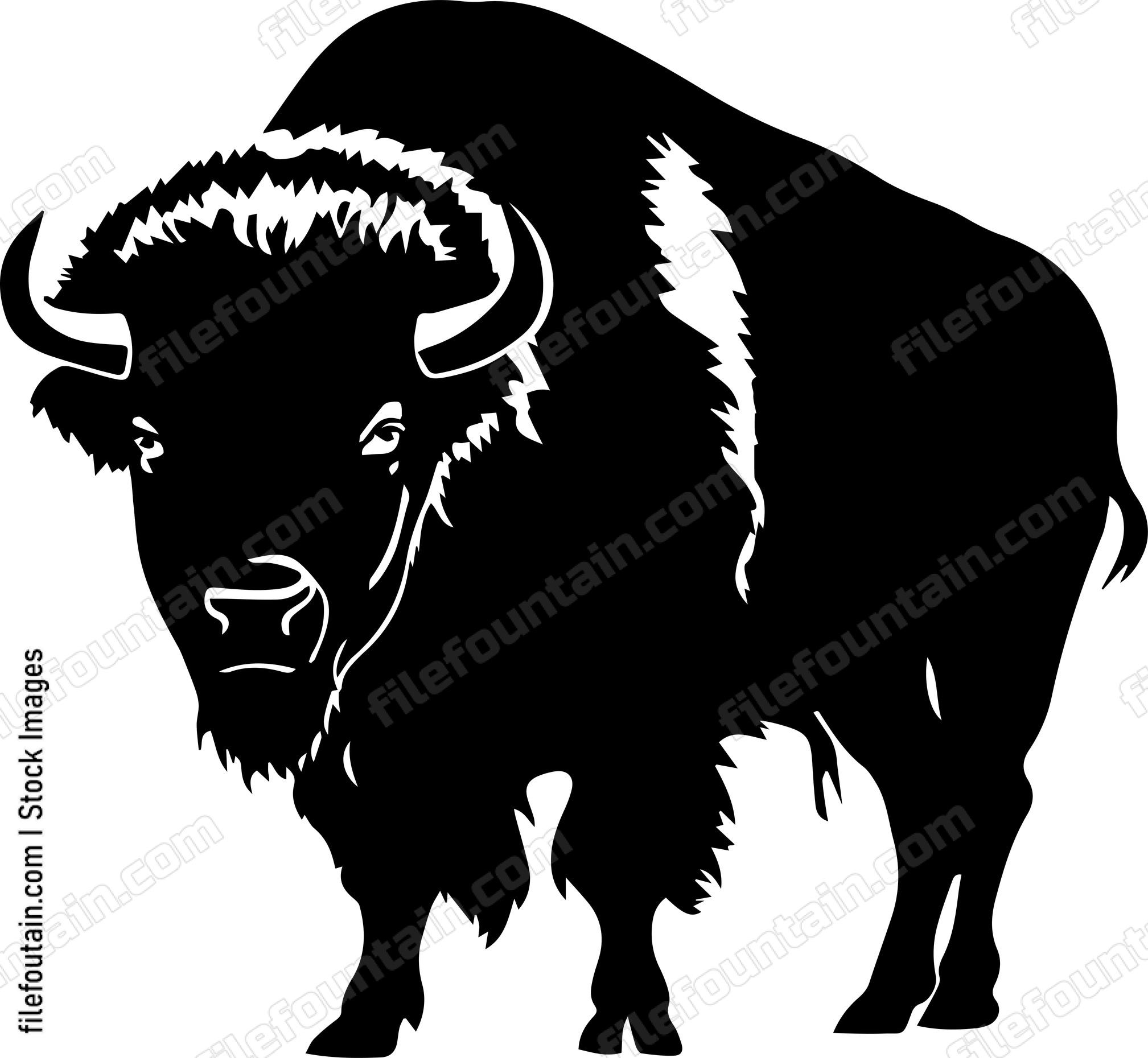 Bison