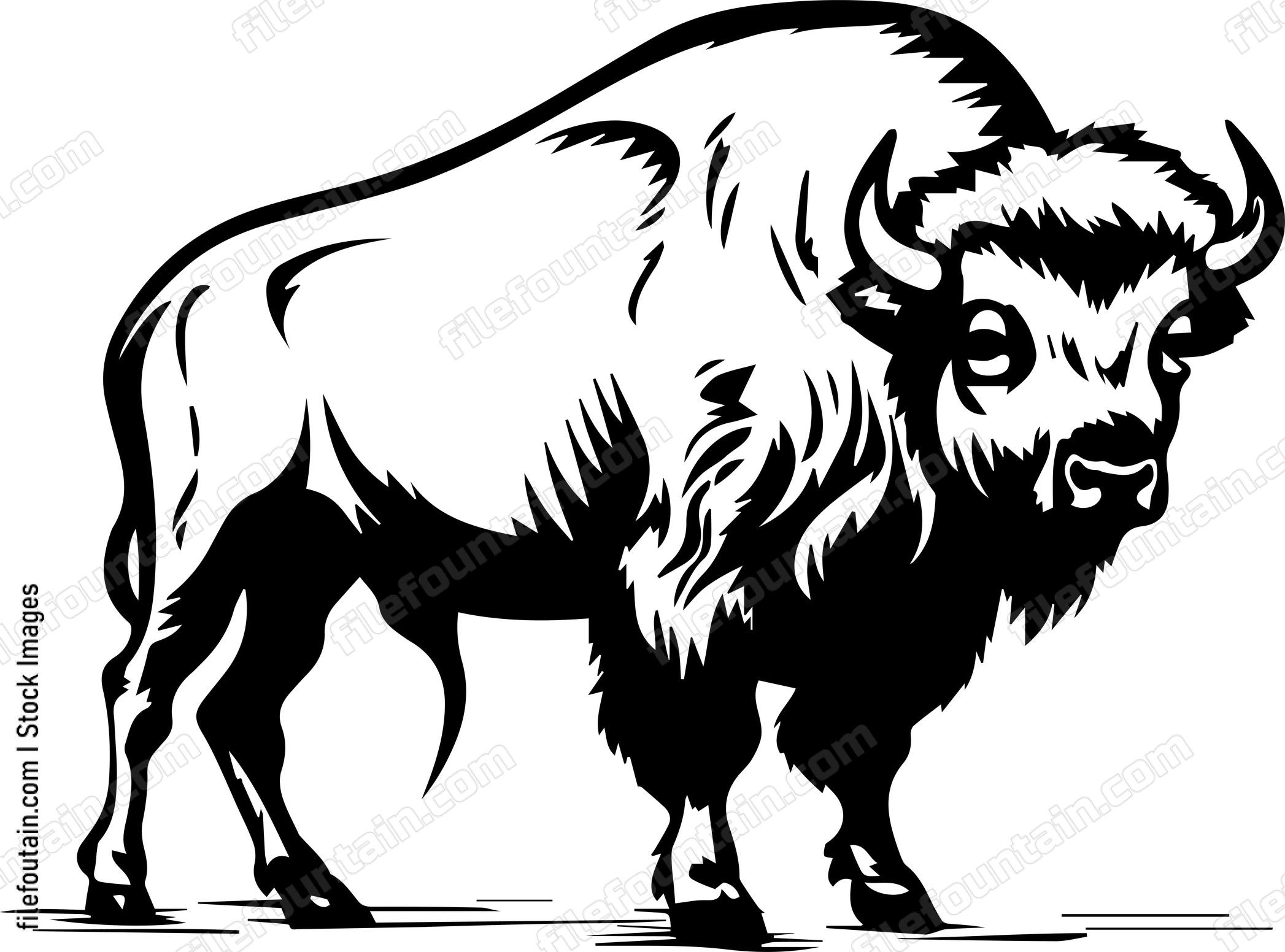 Bison
