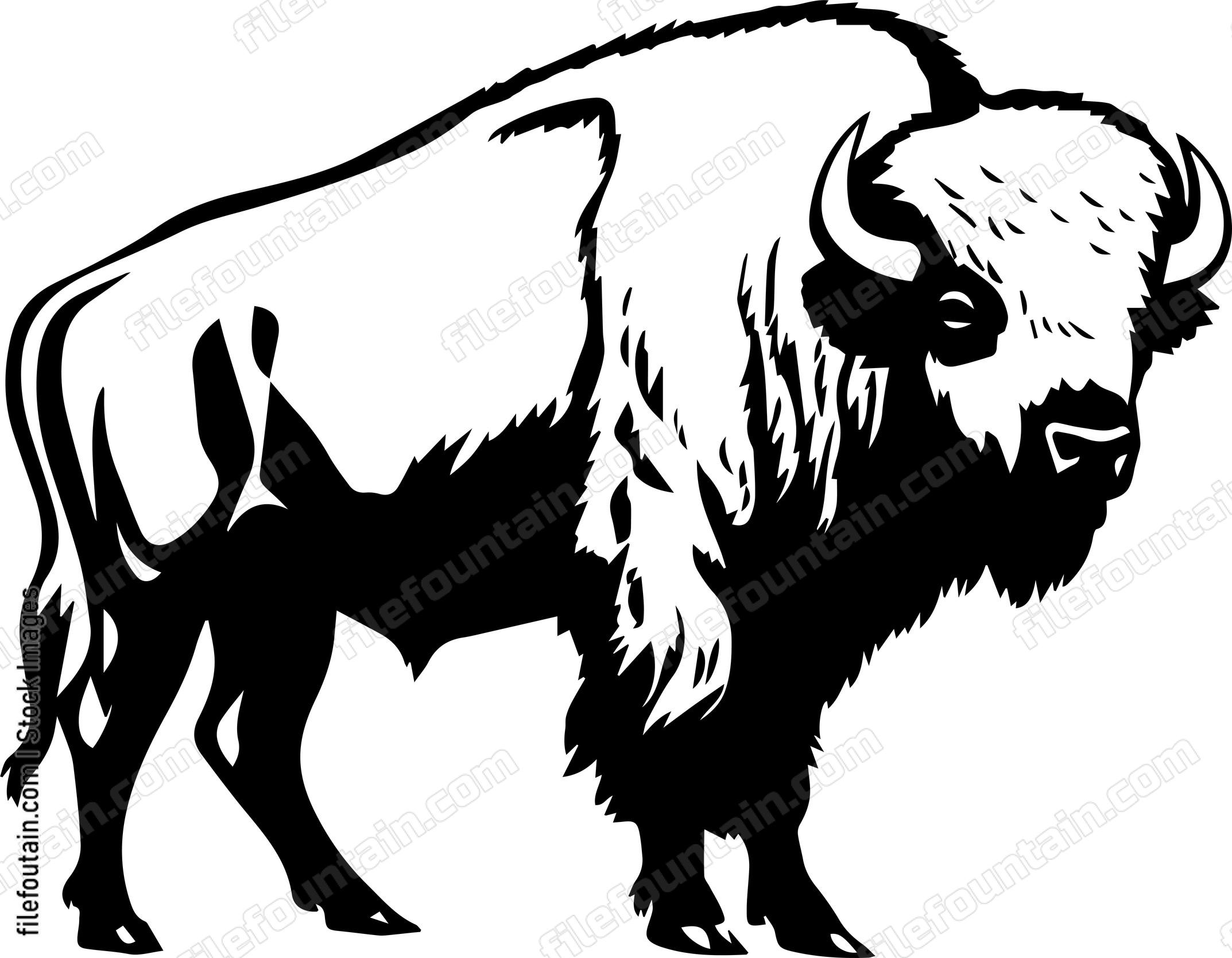 Bison