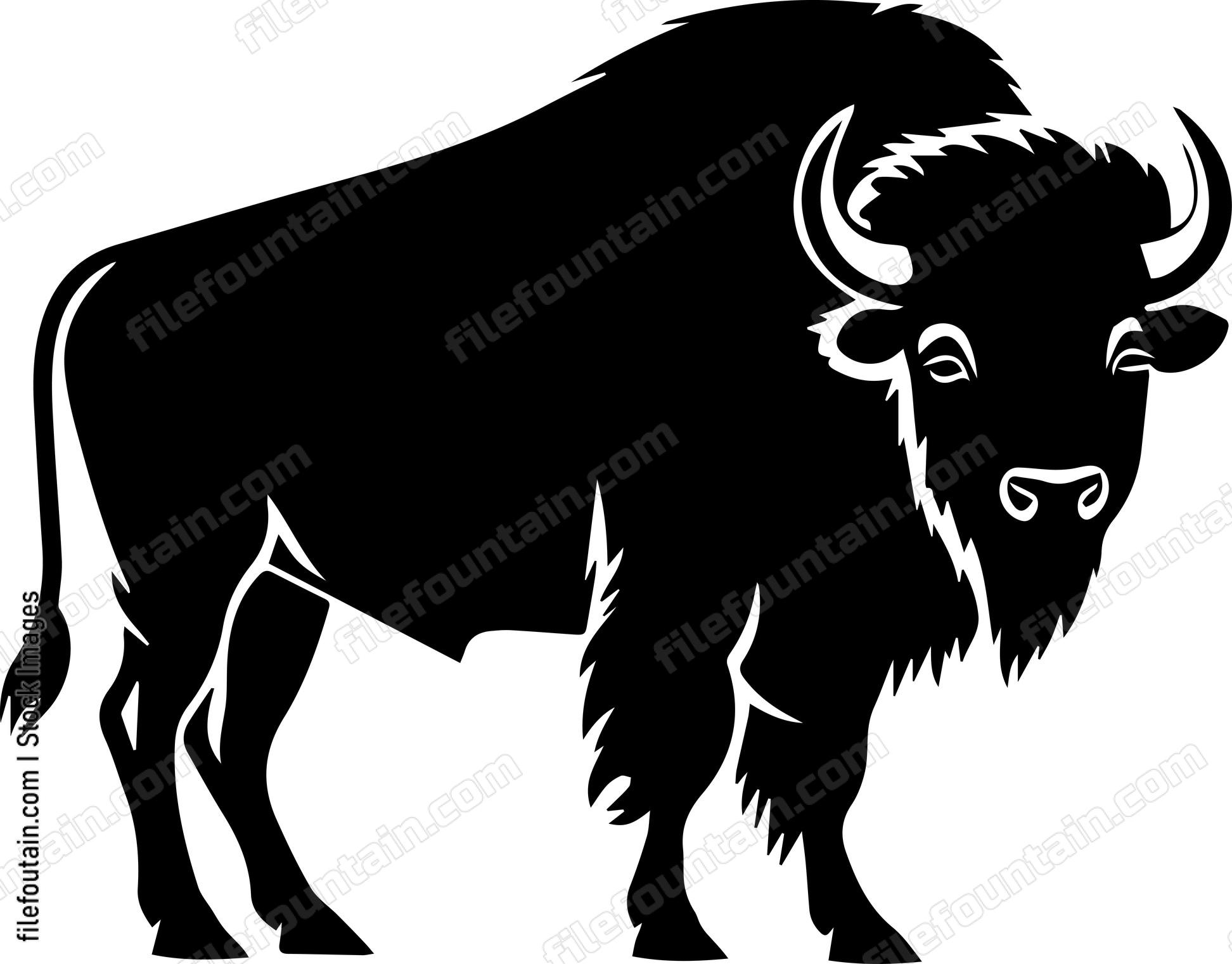 Bison