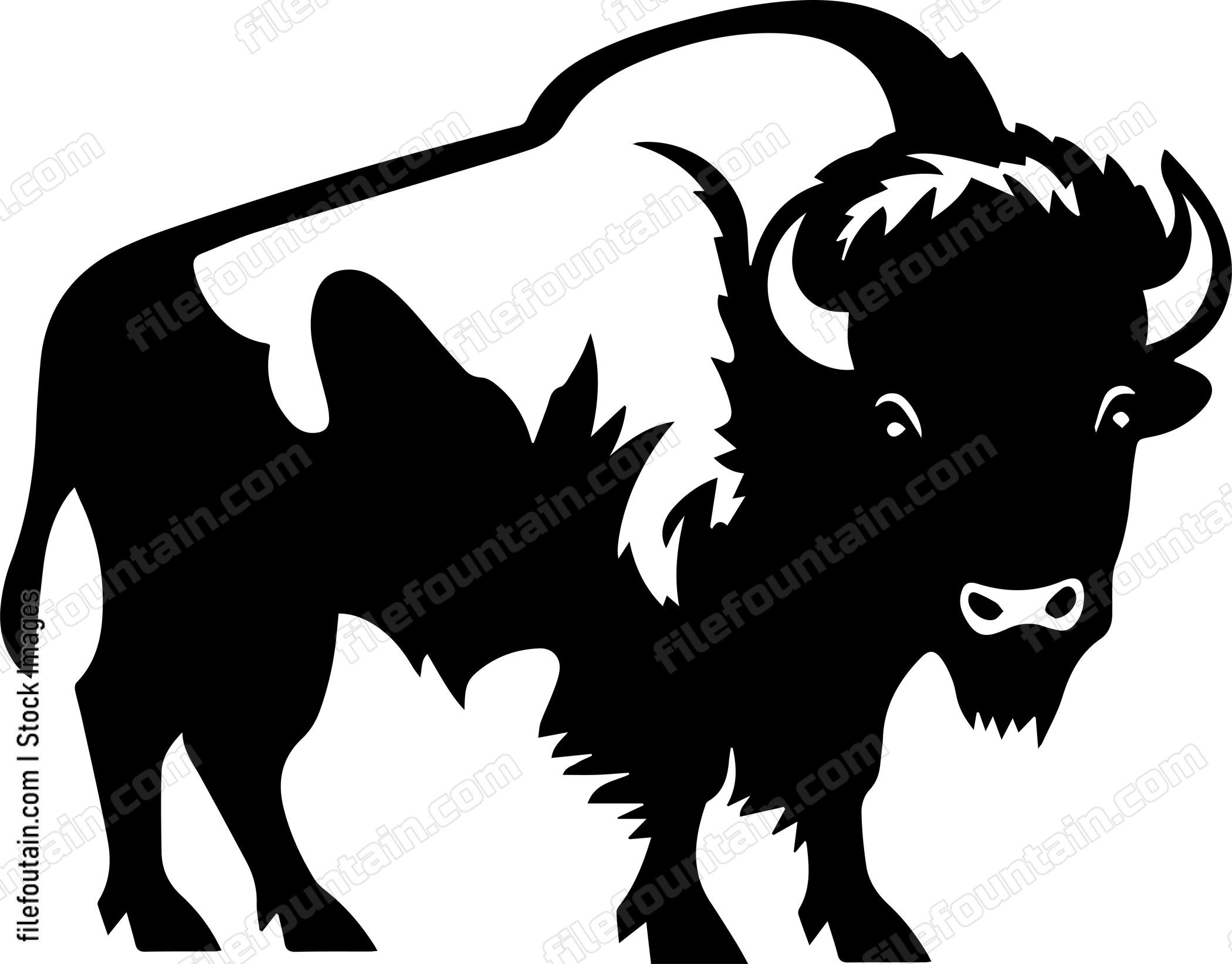 Bison