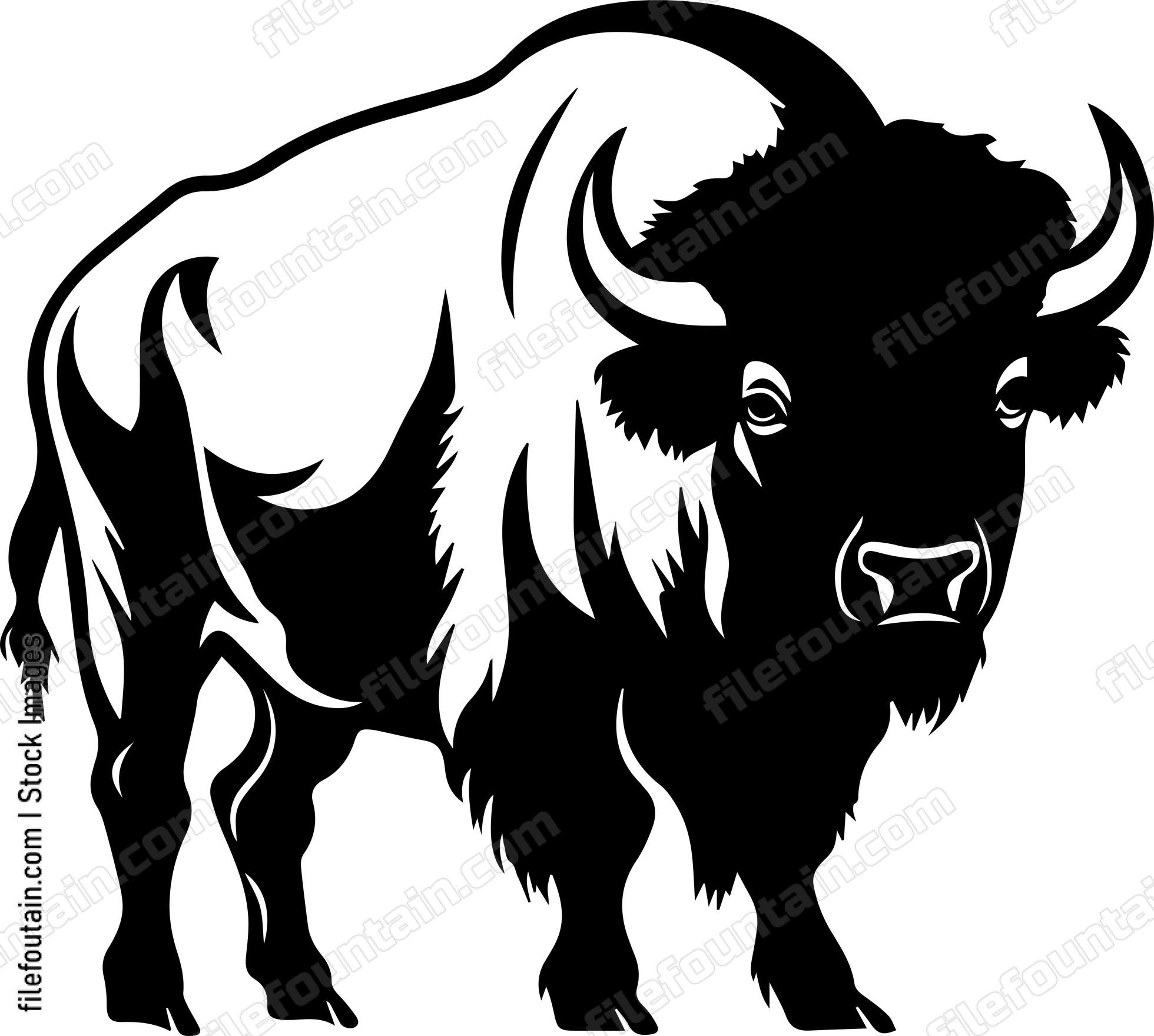 Bison