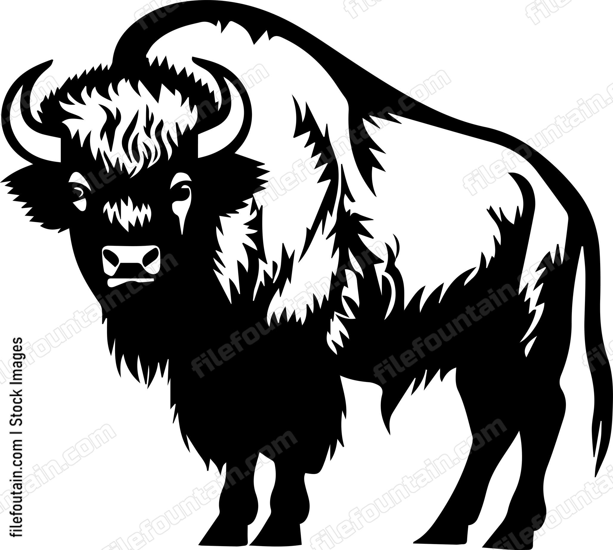 Bison