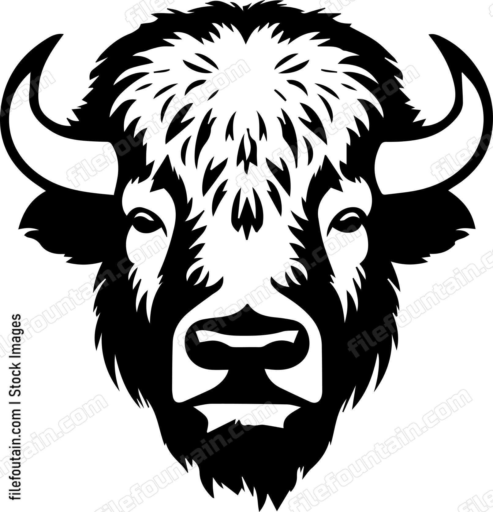 Bison