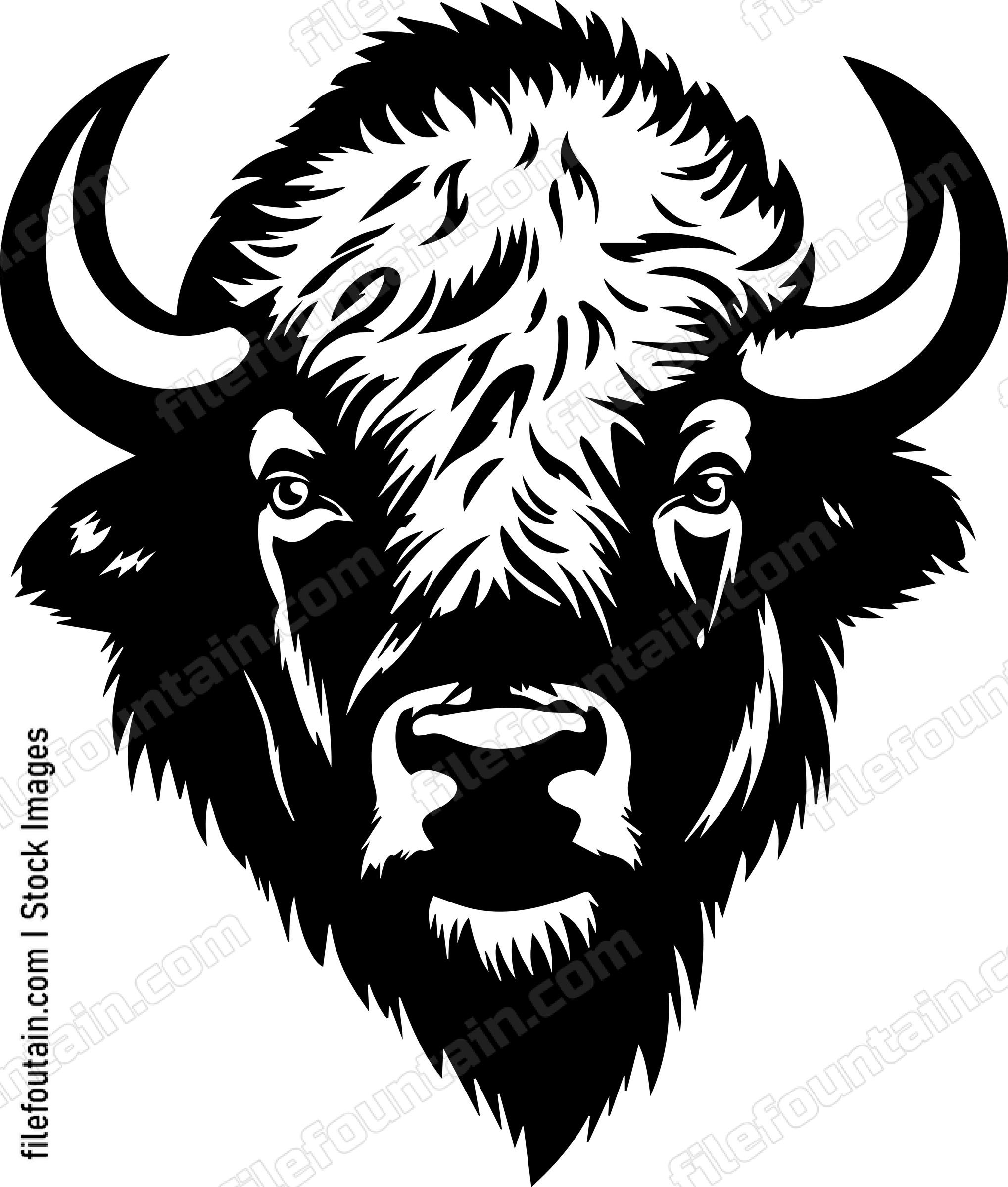 Bison