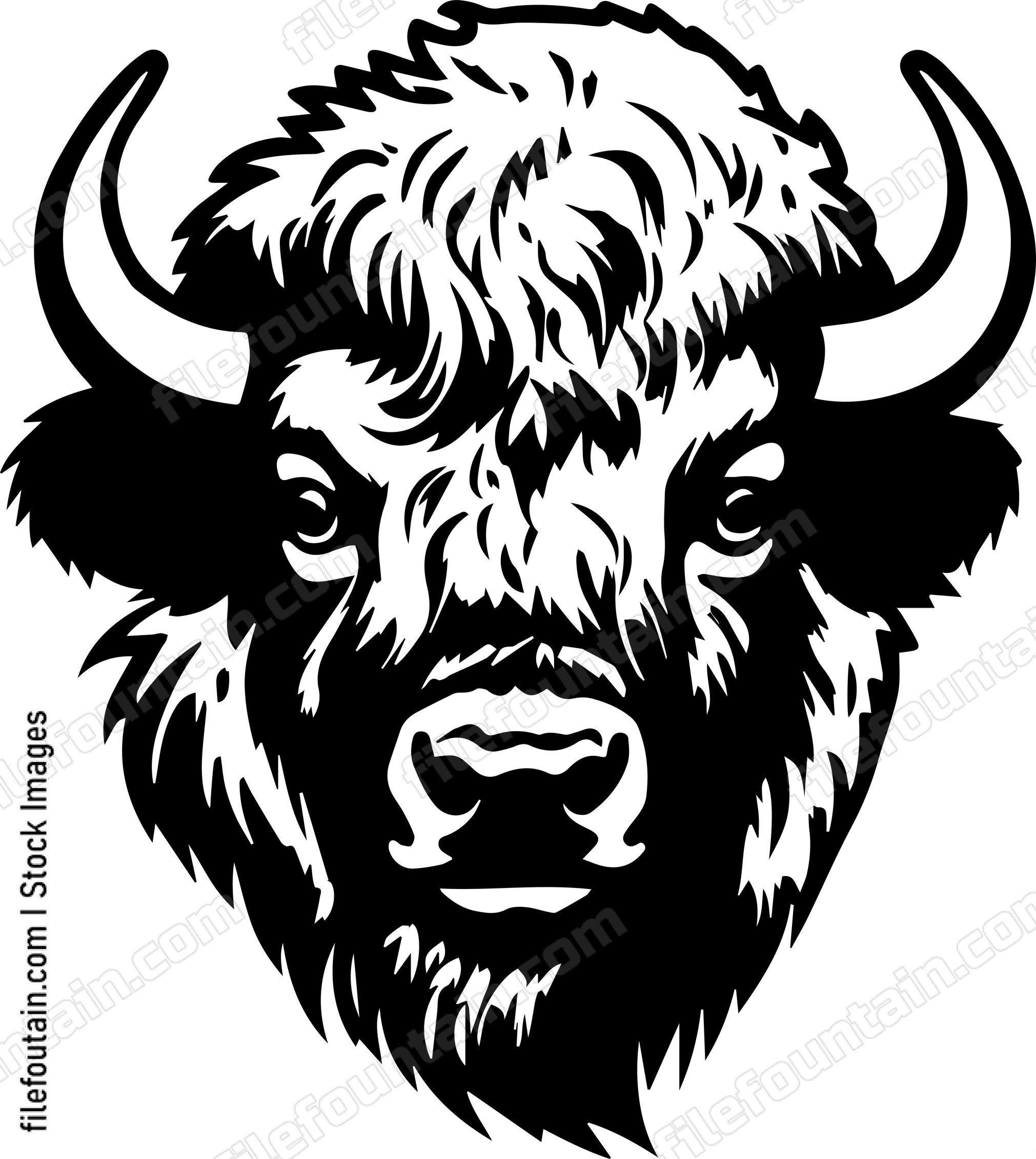Bison