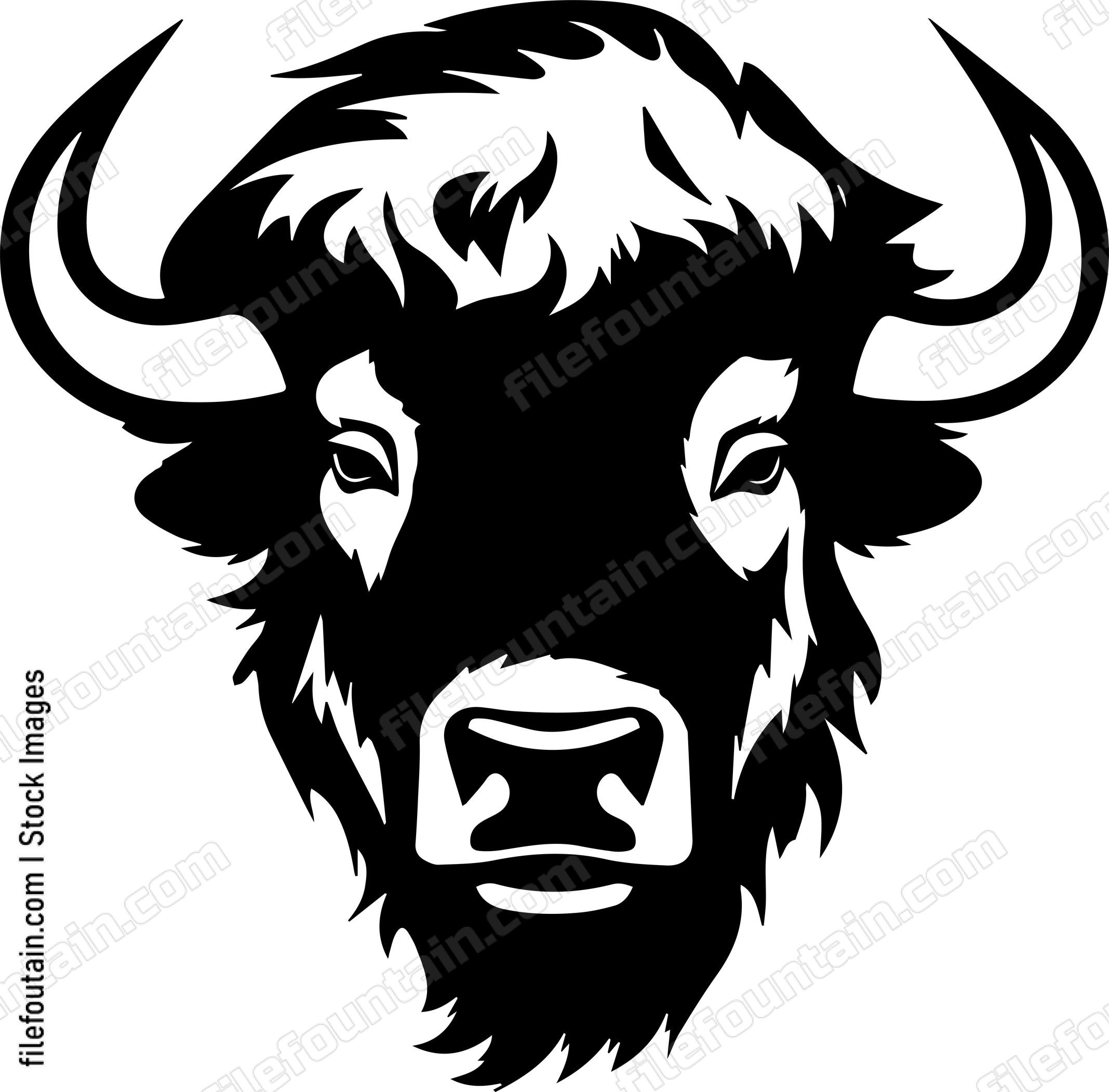 Bison