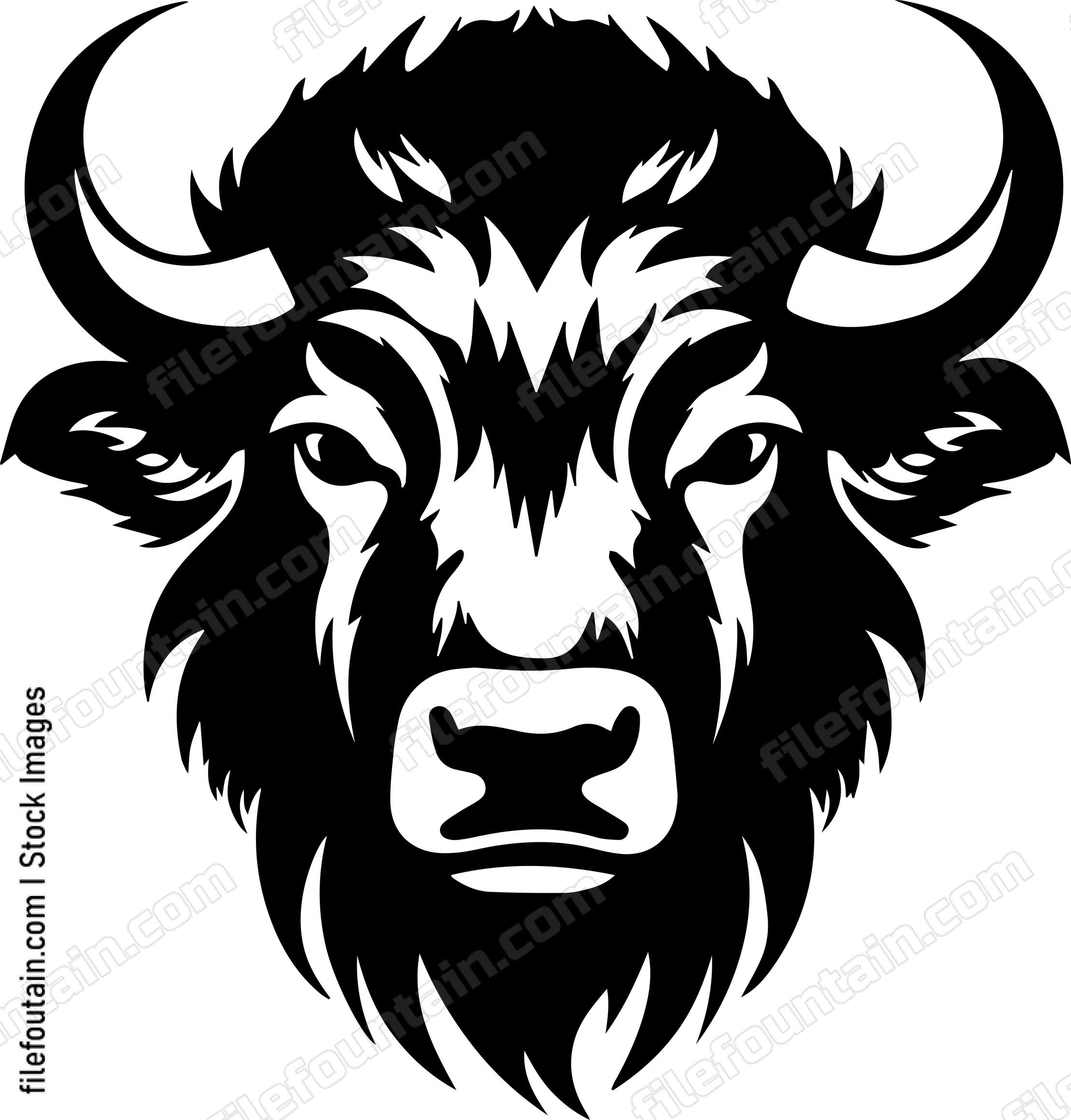 Bison