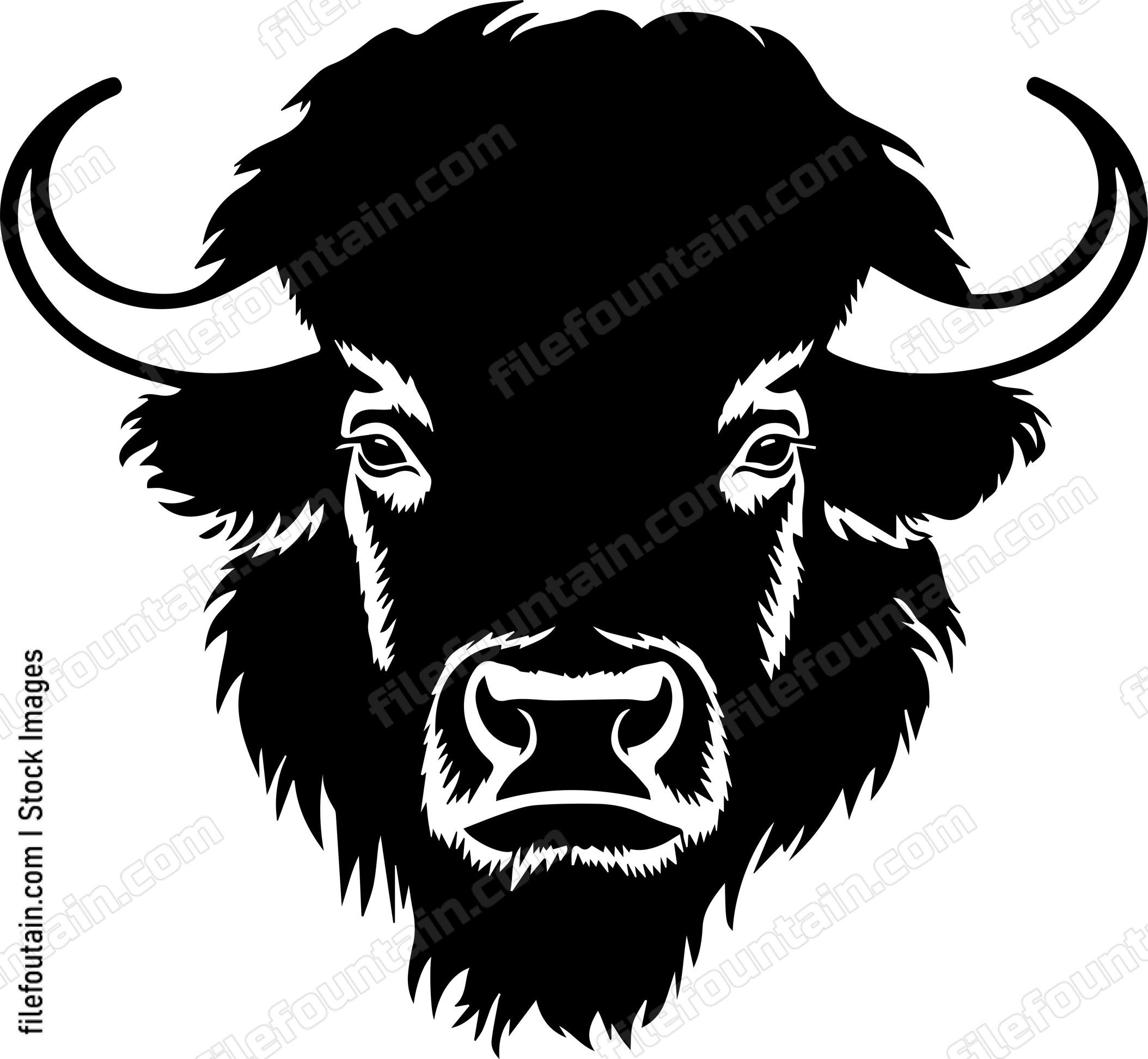 Bison
