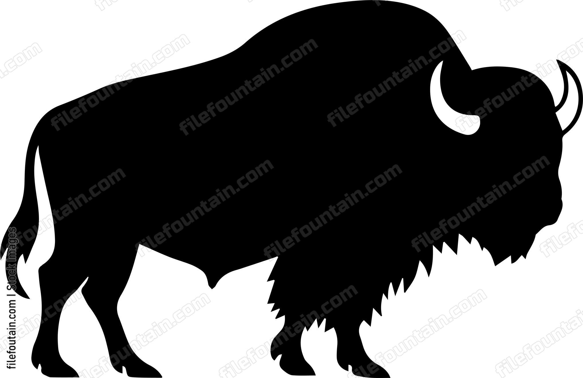 Bison