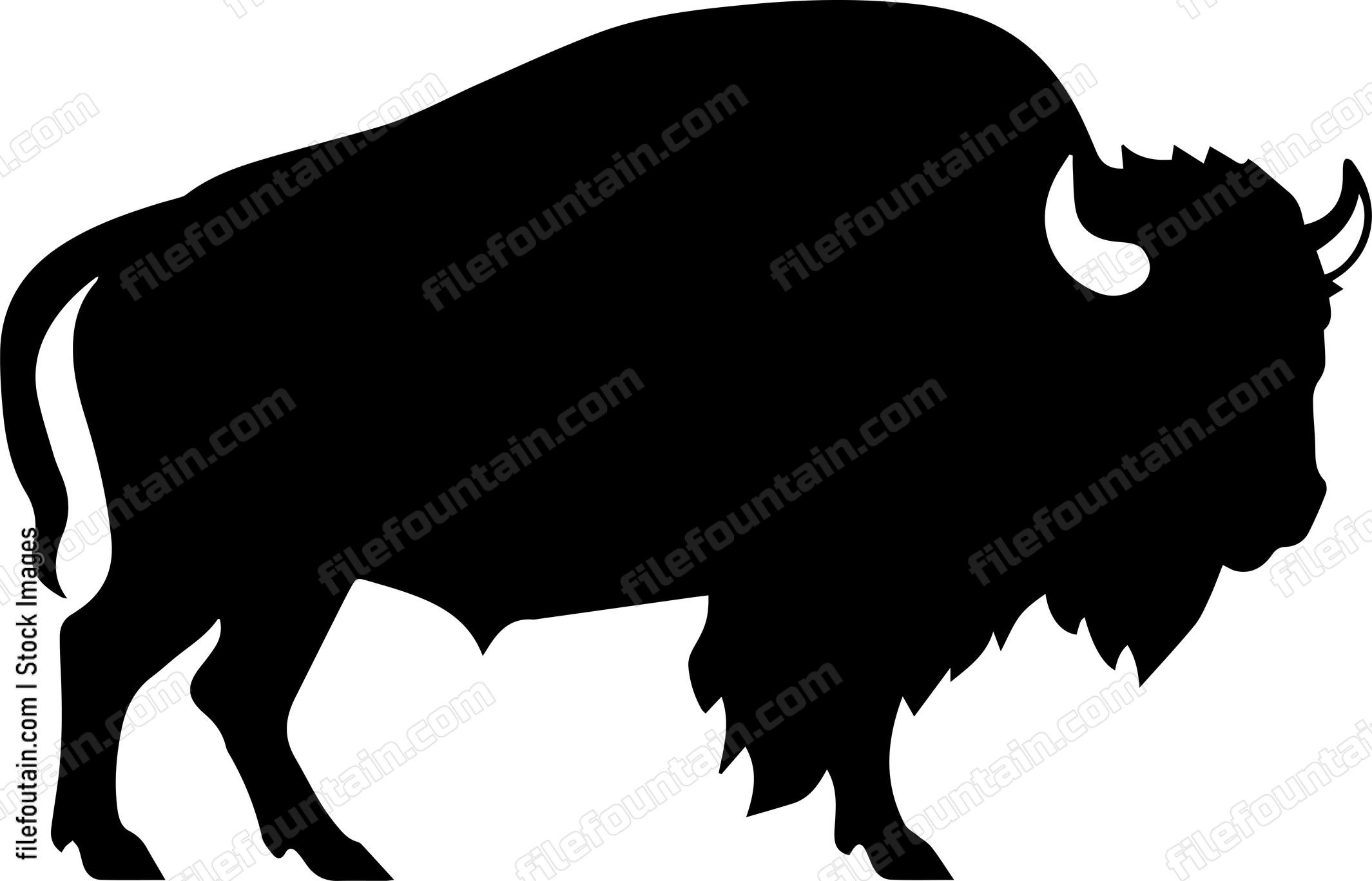 Bison