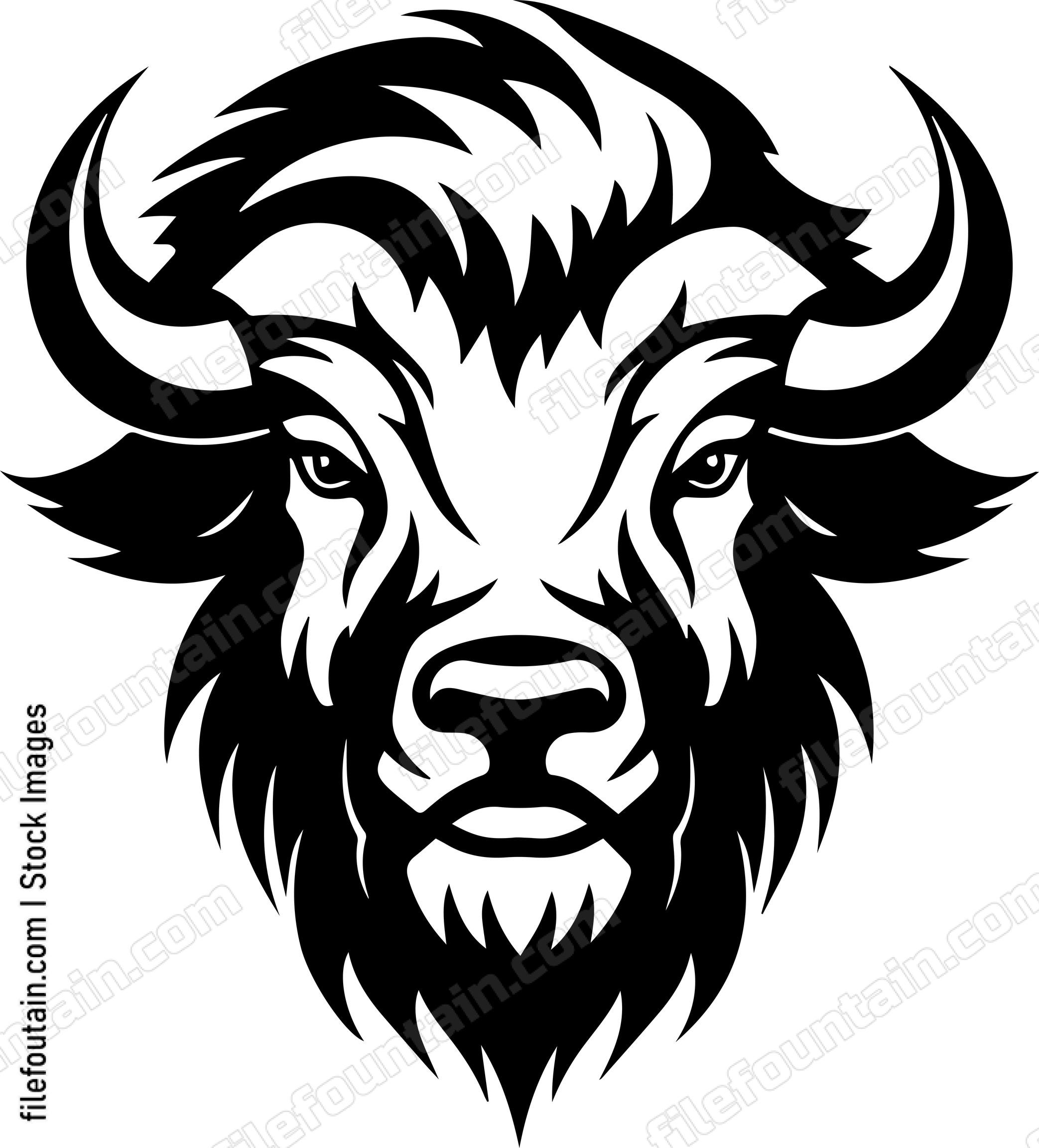 Bison