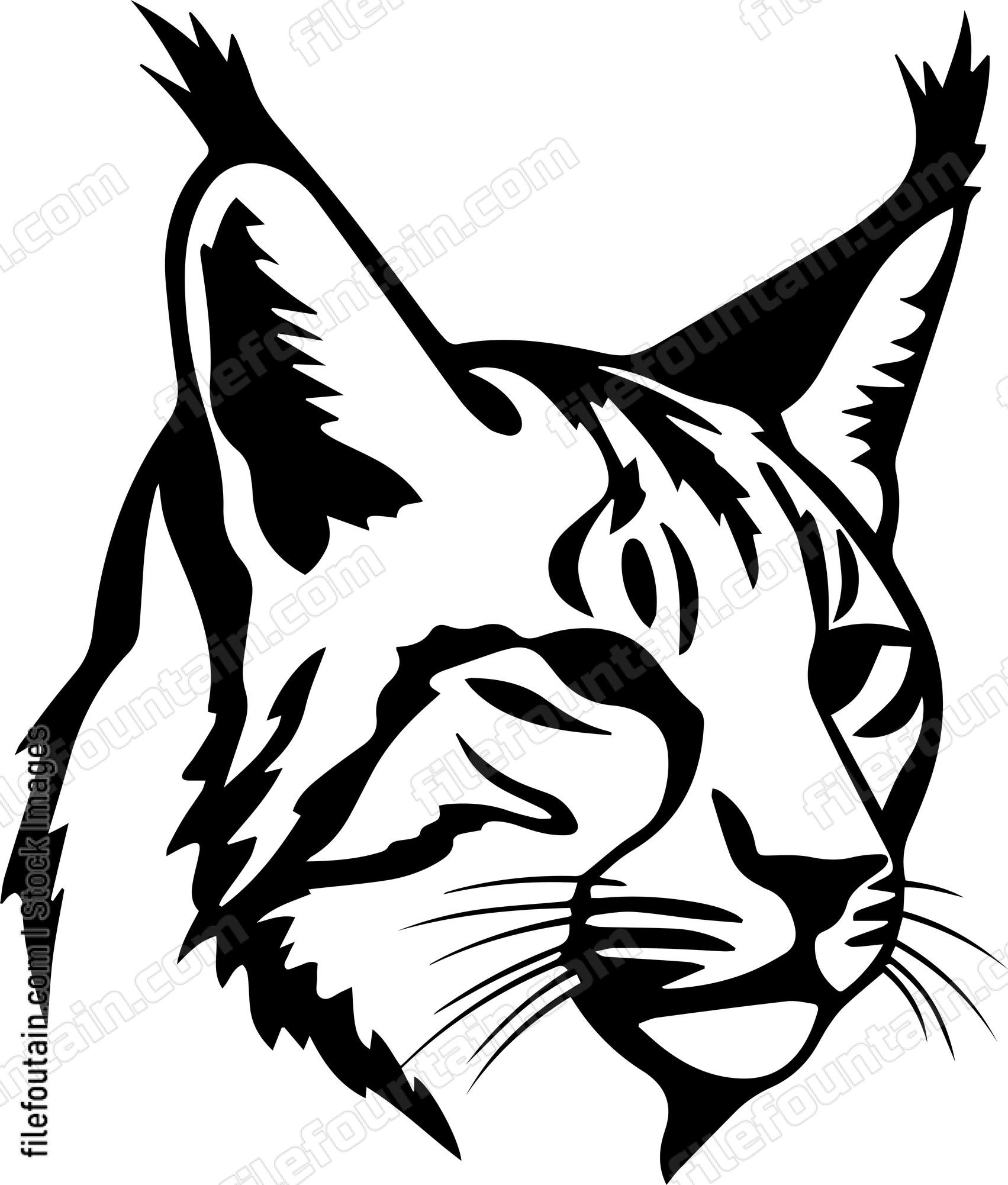 Bobcat