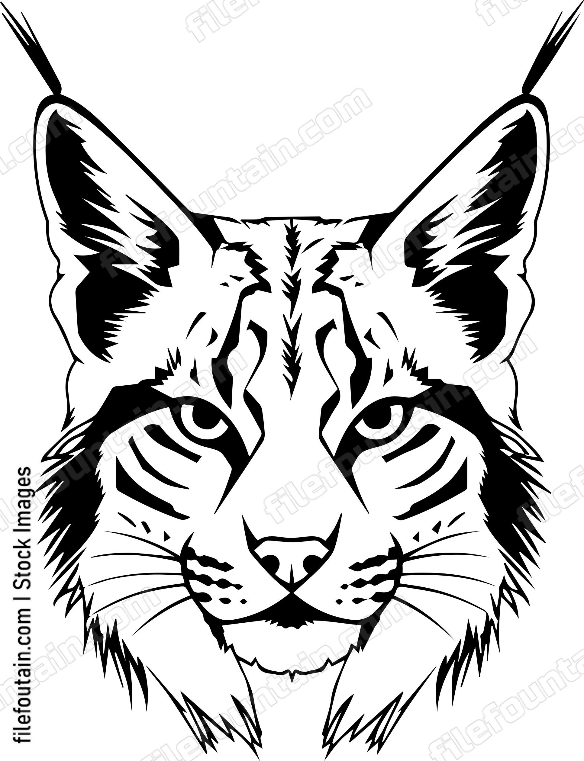 Bobcat