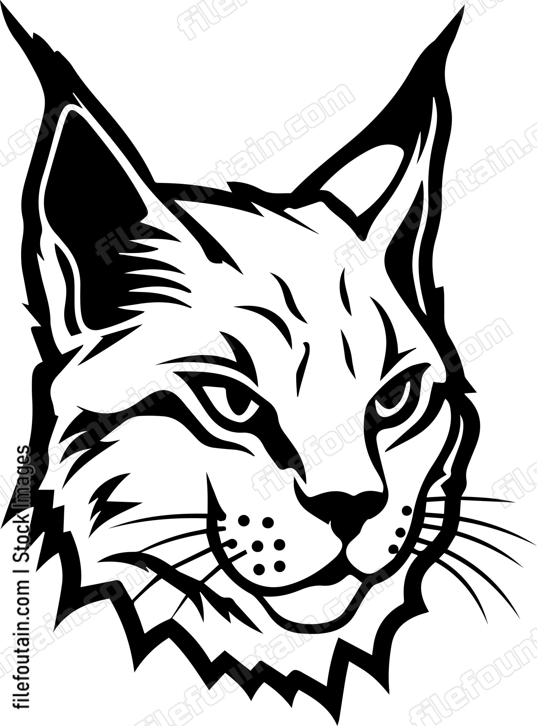 Bobcat