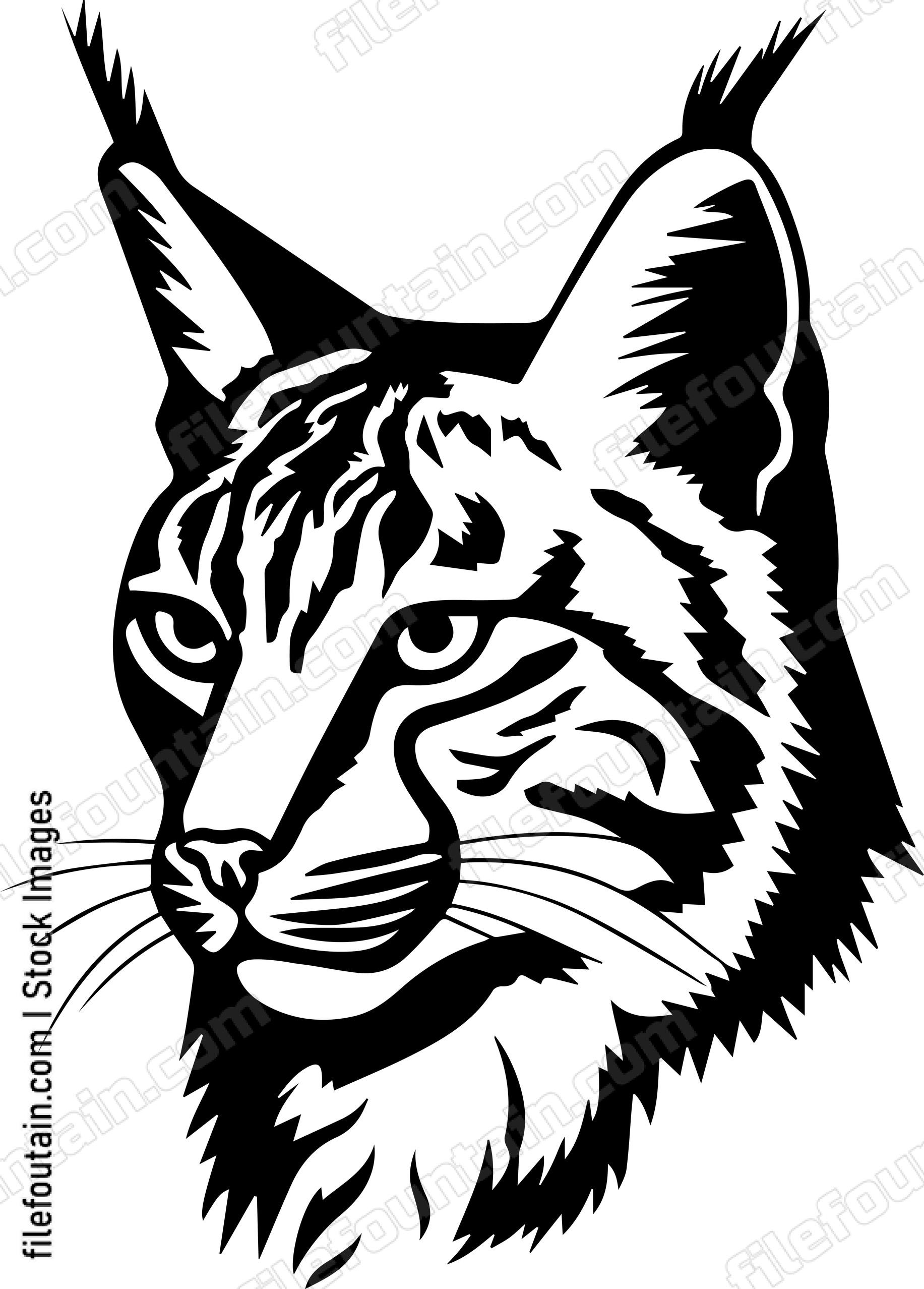 Bobcat