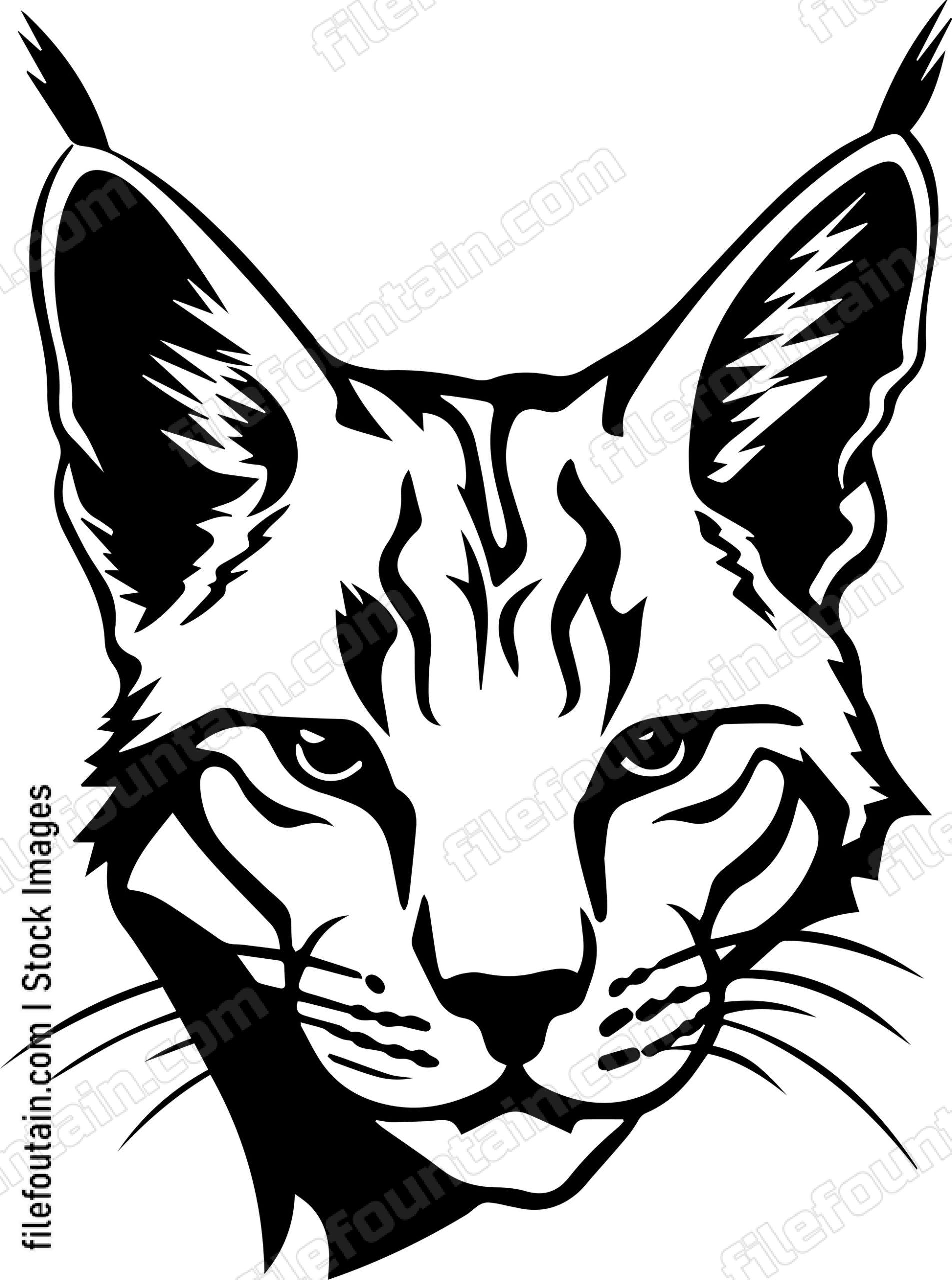 Bobcat