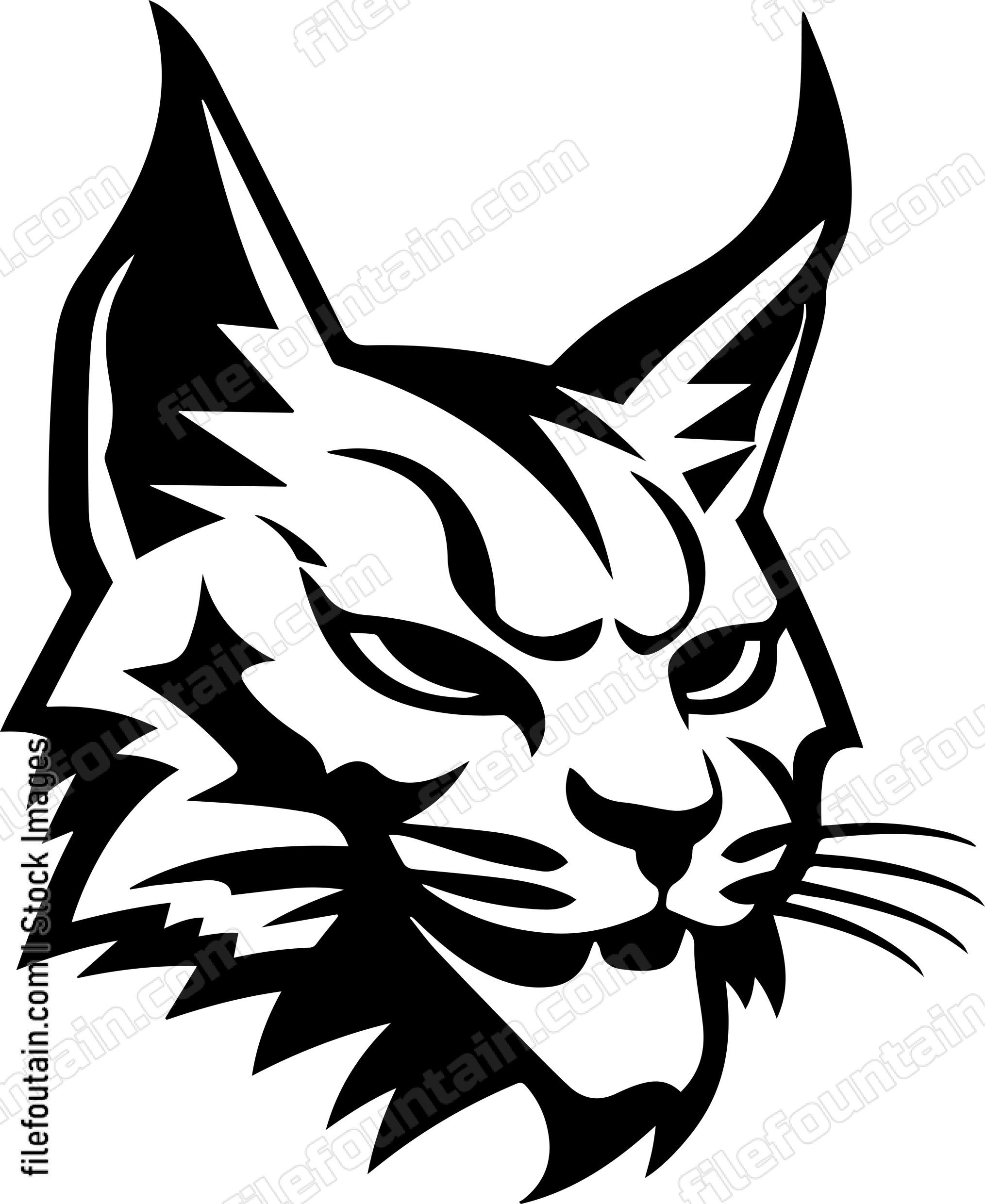 Bobcat