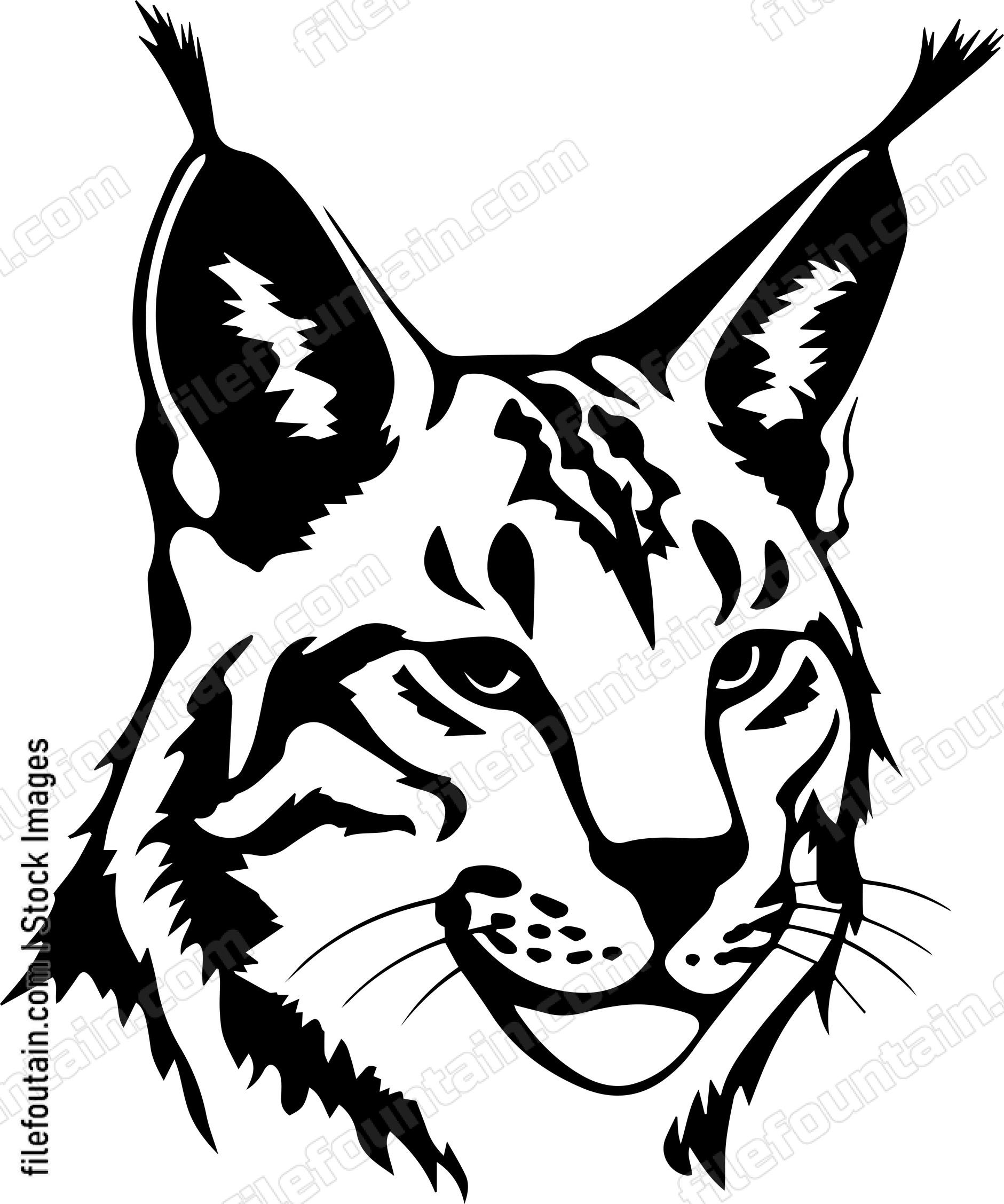 Bobcat