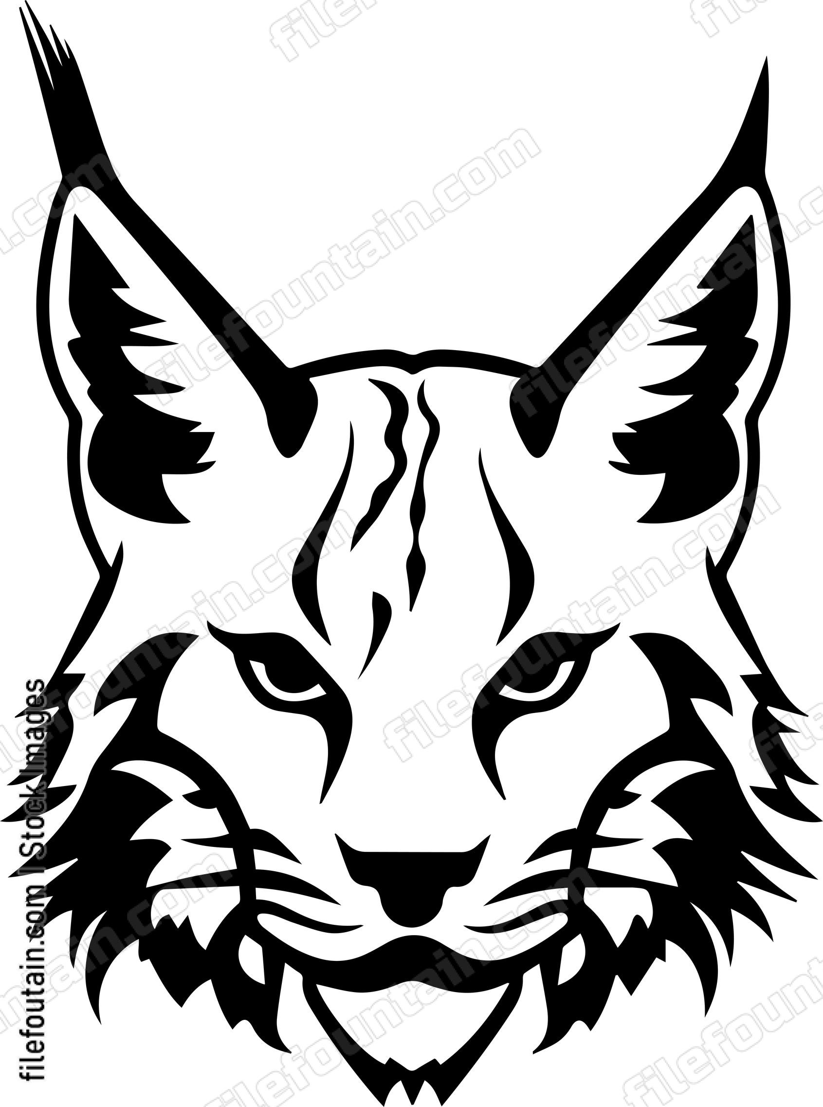 Bobcat