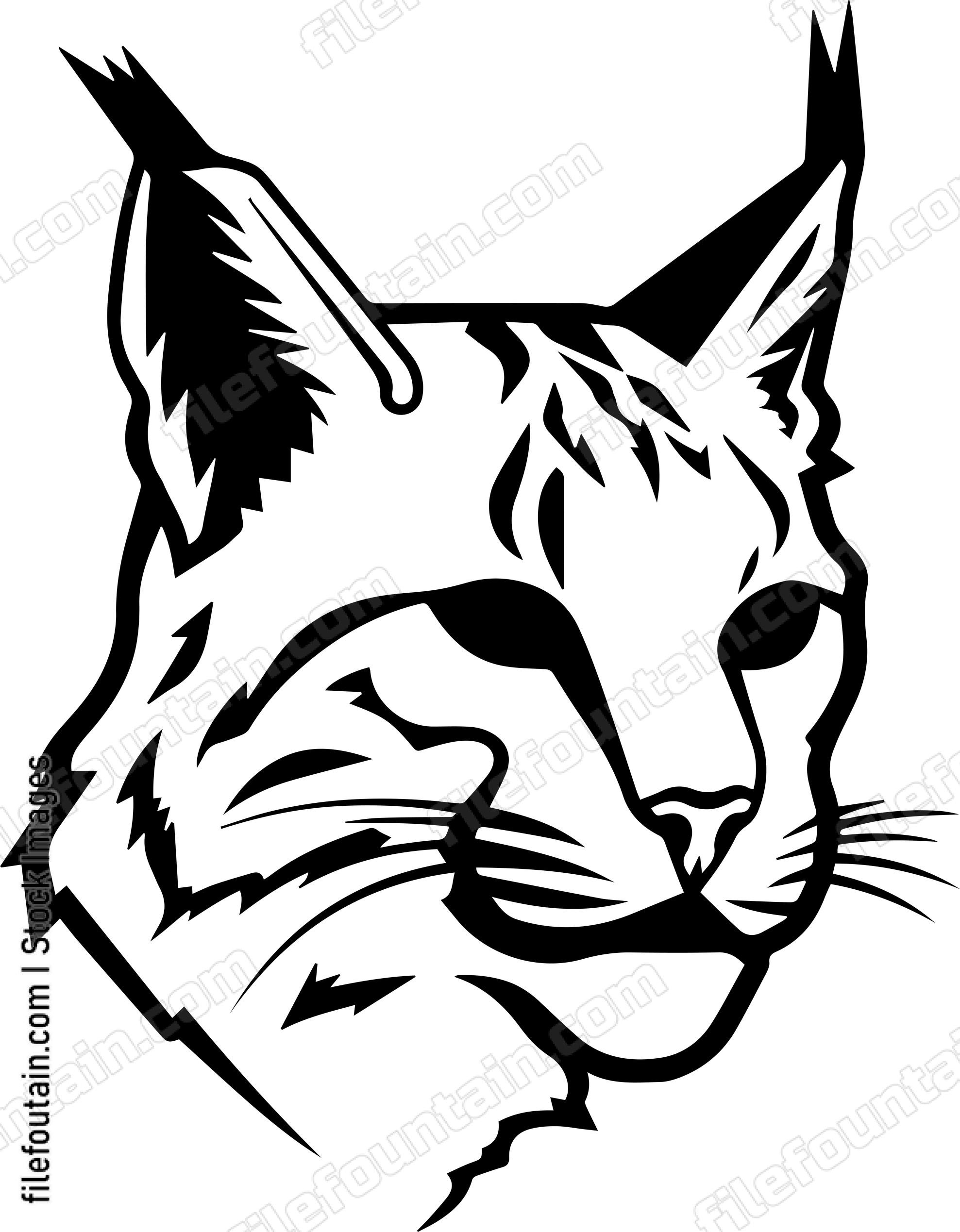 Bobcat