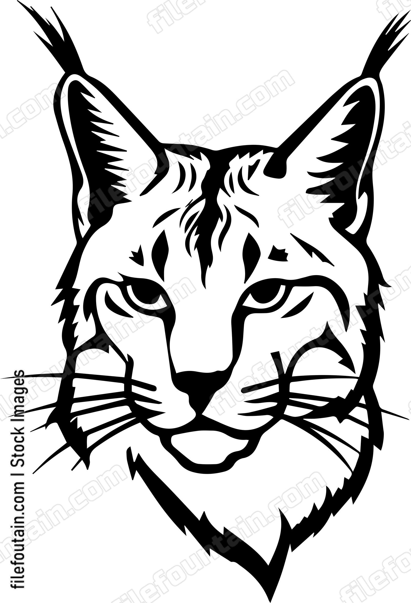 Bobcat