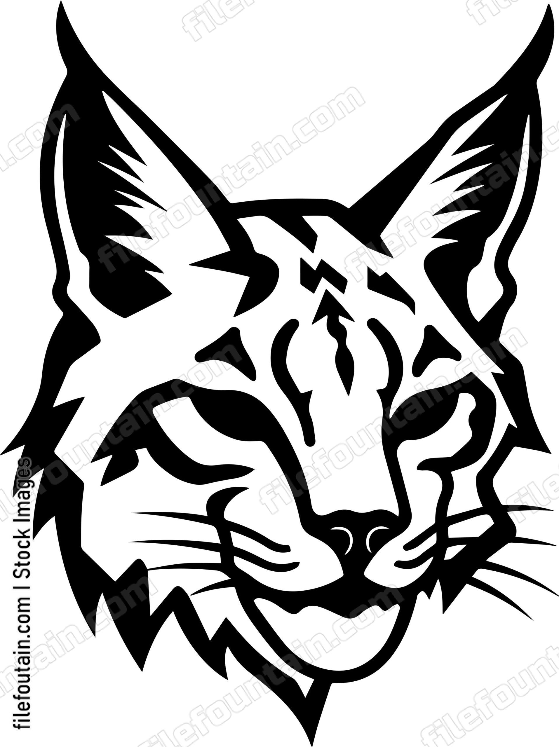 Bobcat