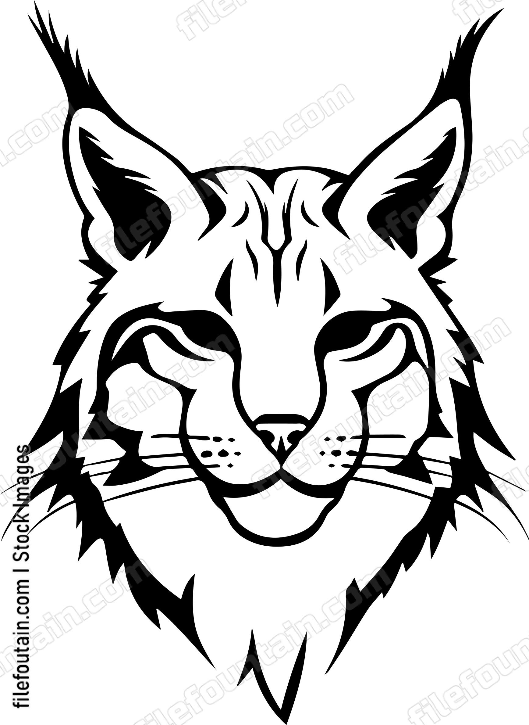 Bobcat