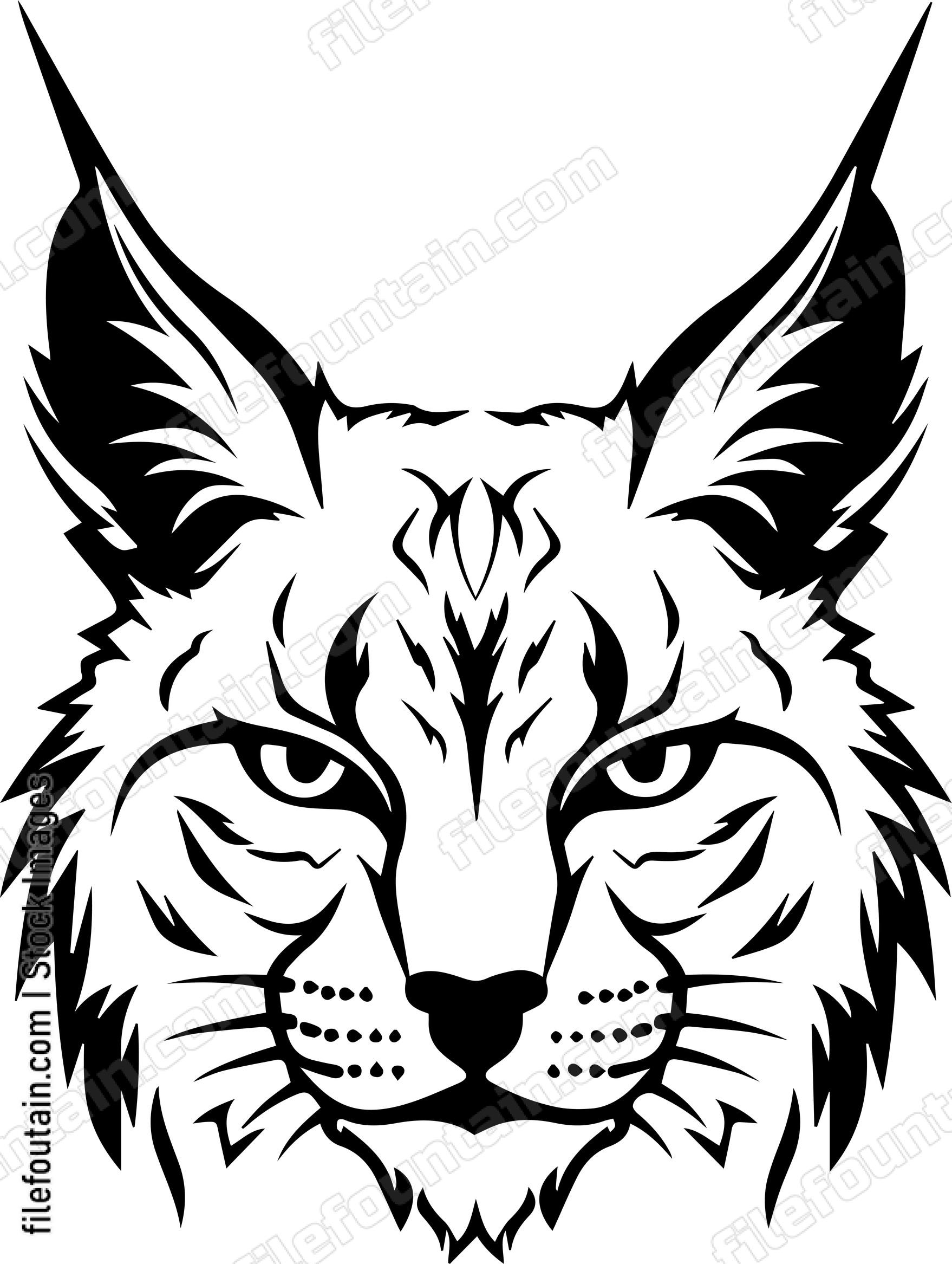Bobcat