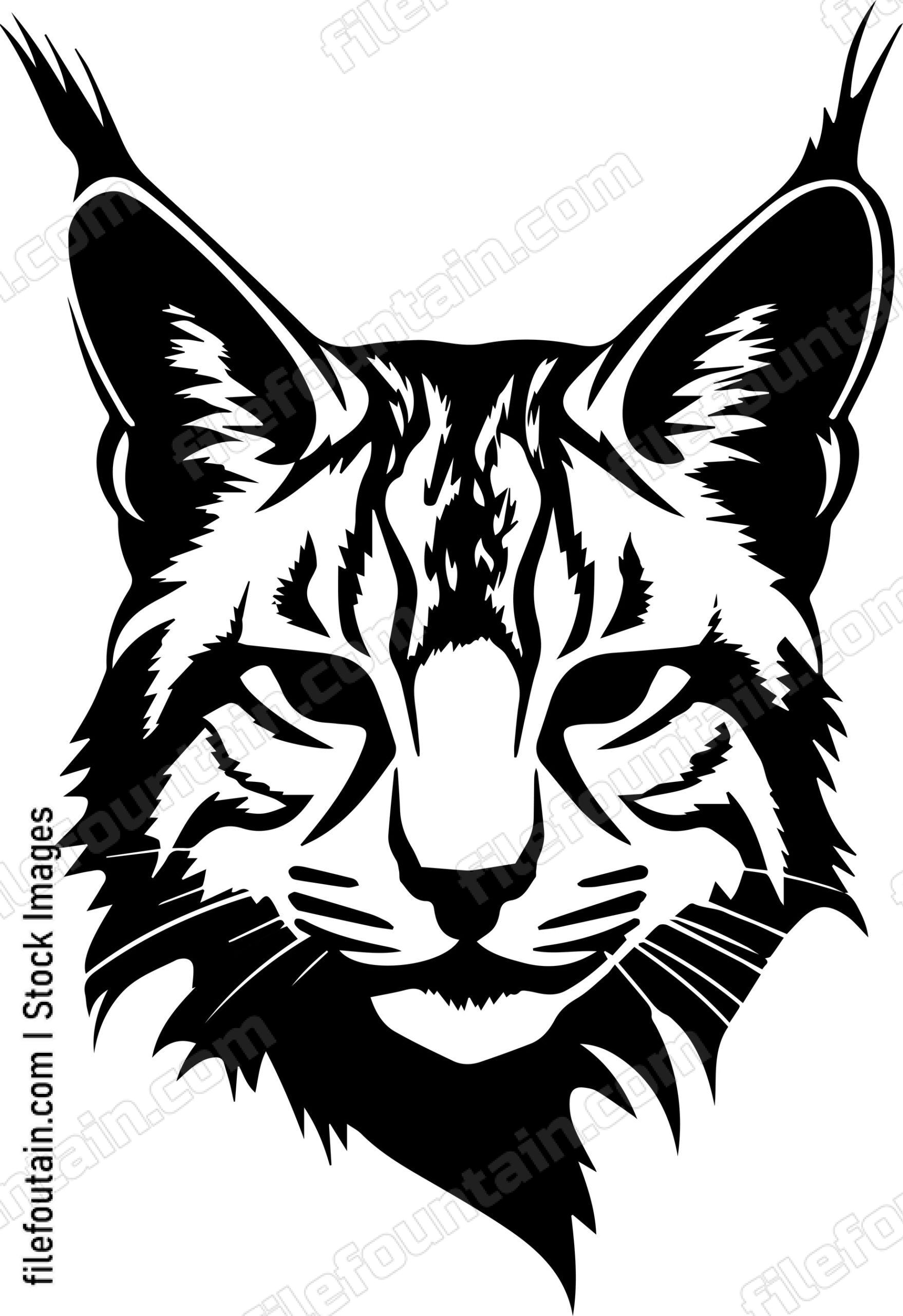 Bobcat