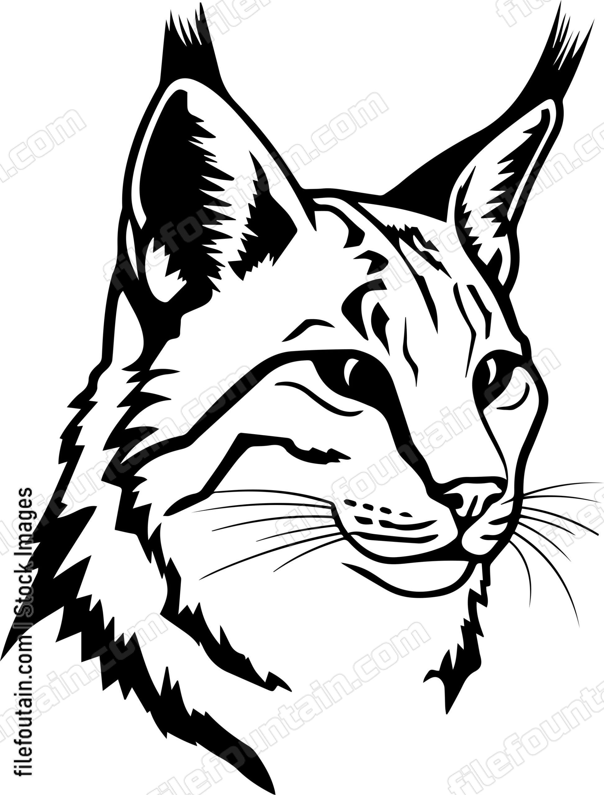 Bobcat