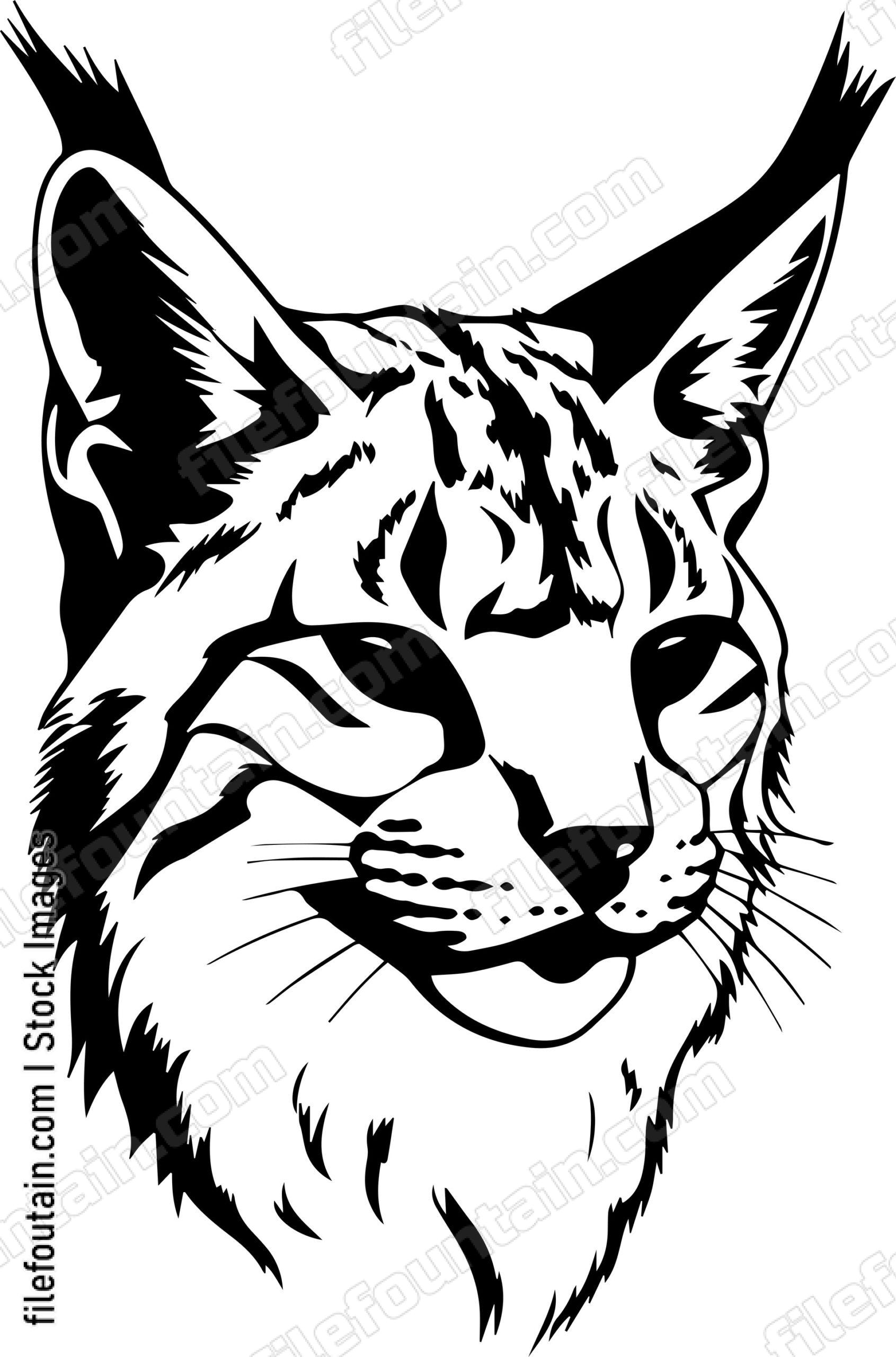 Bobcat