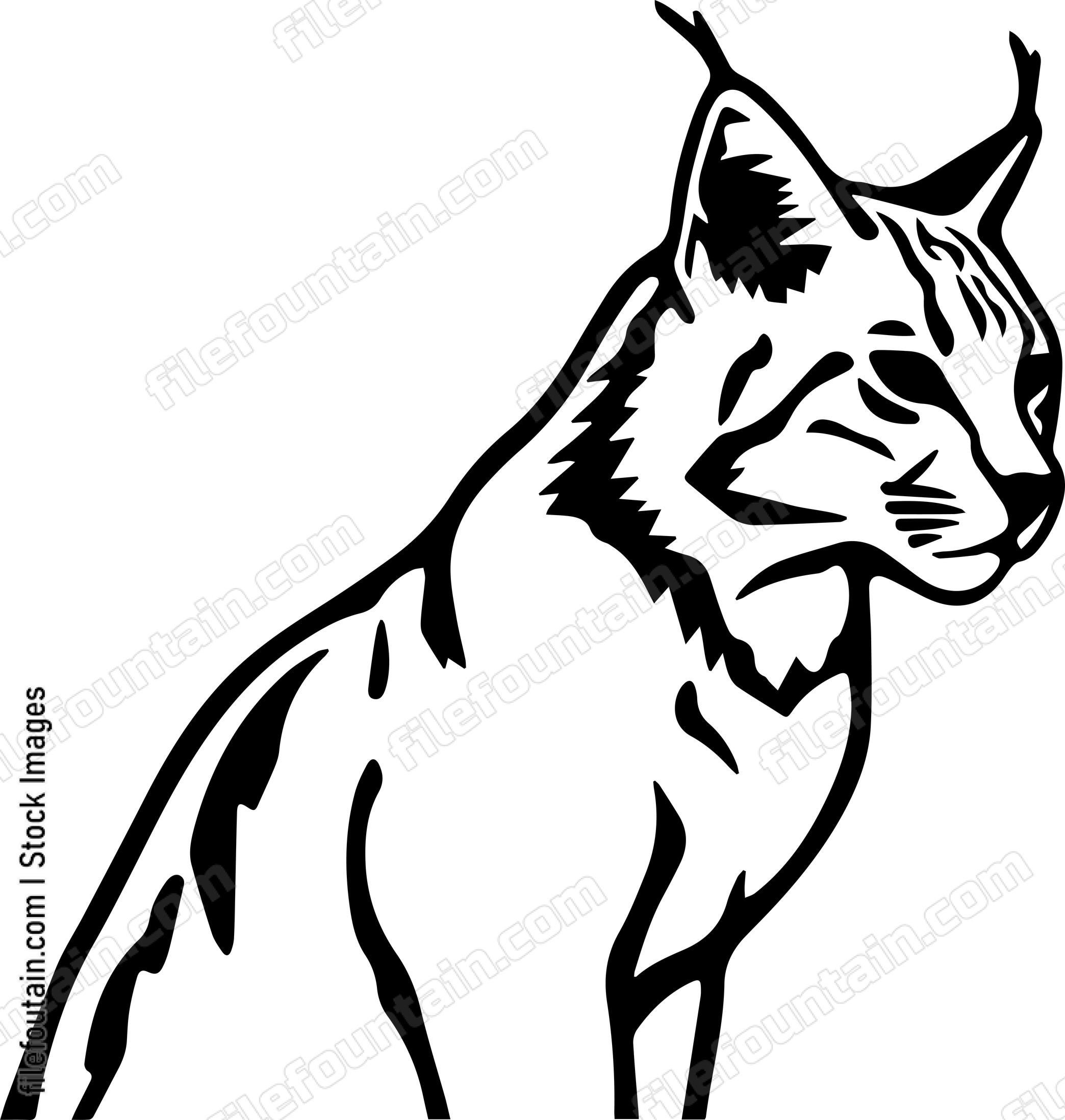 Bobcat