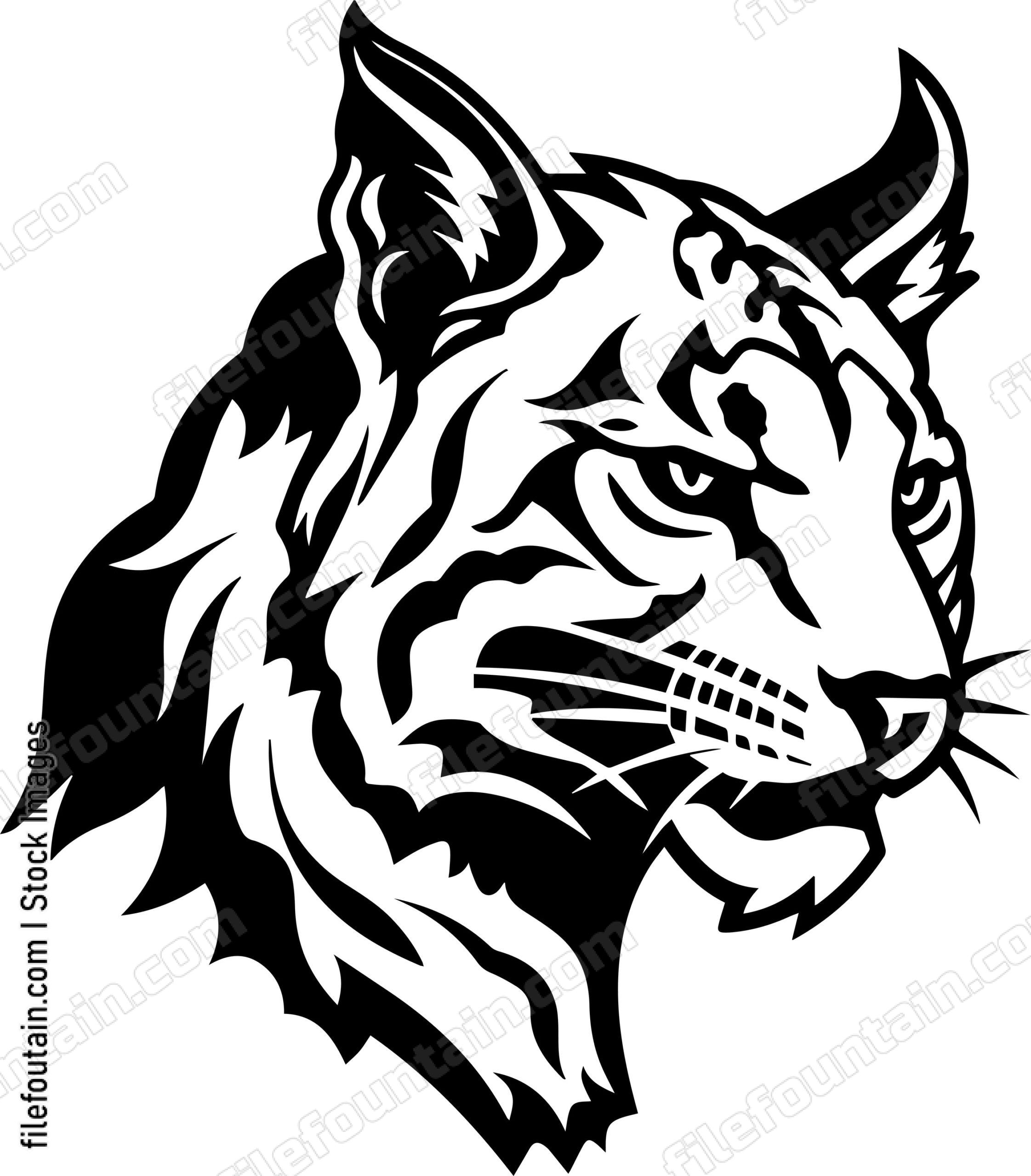 Bobcat