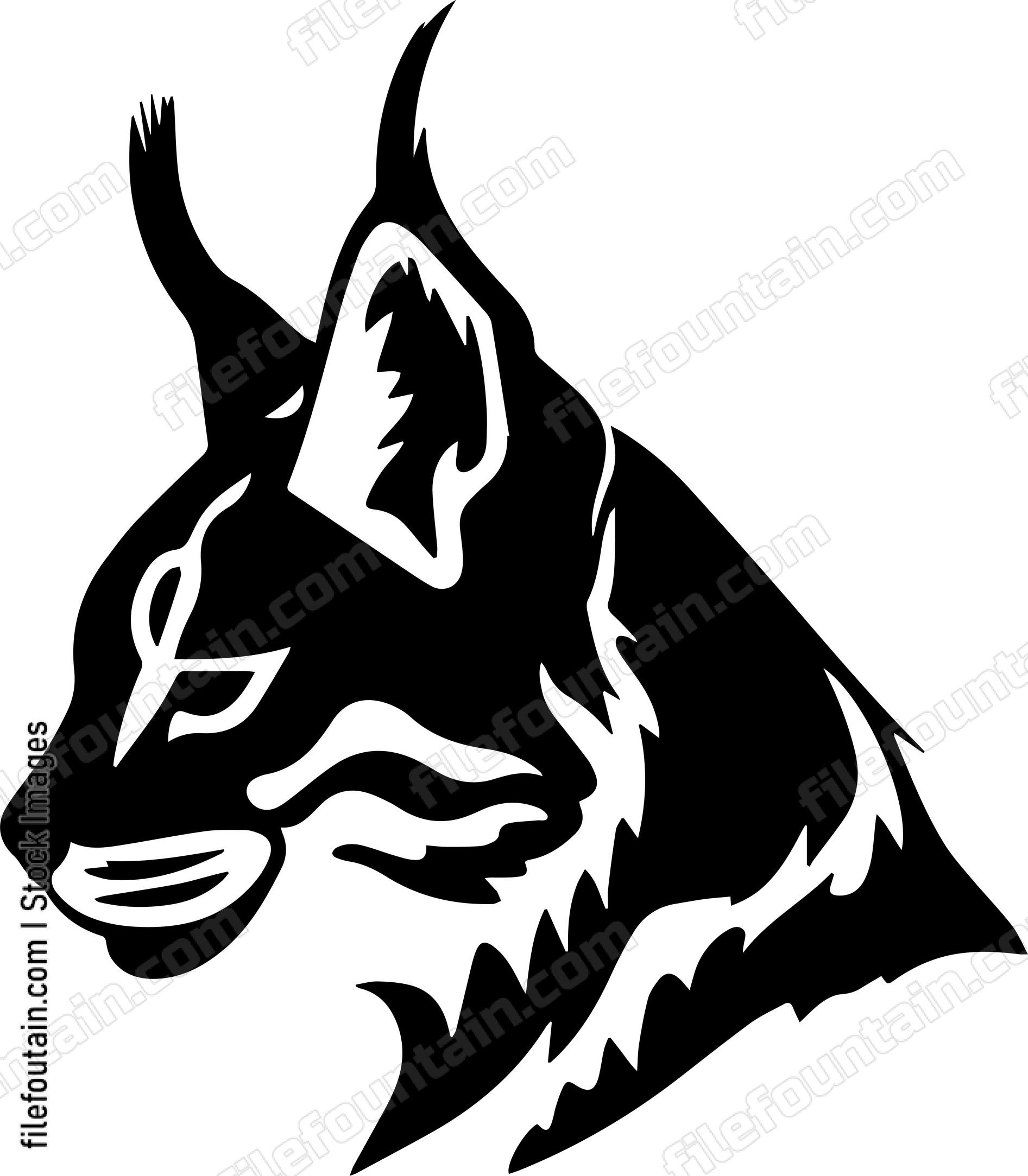 Bobcat
