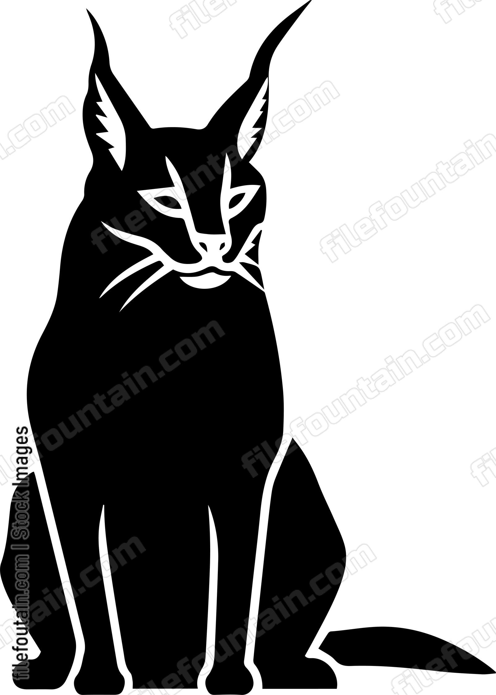 Bobcat