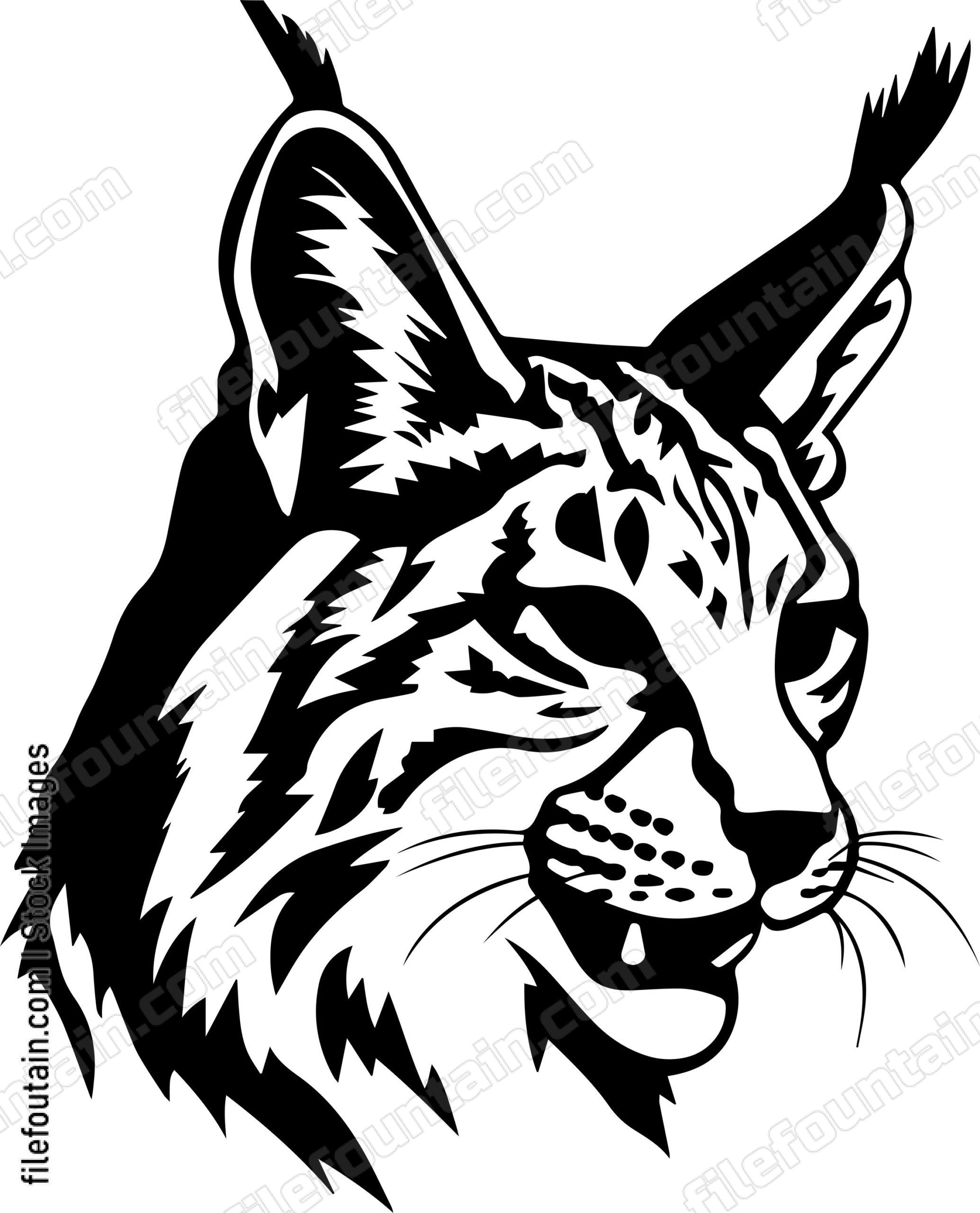 Bobcat