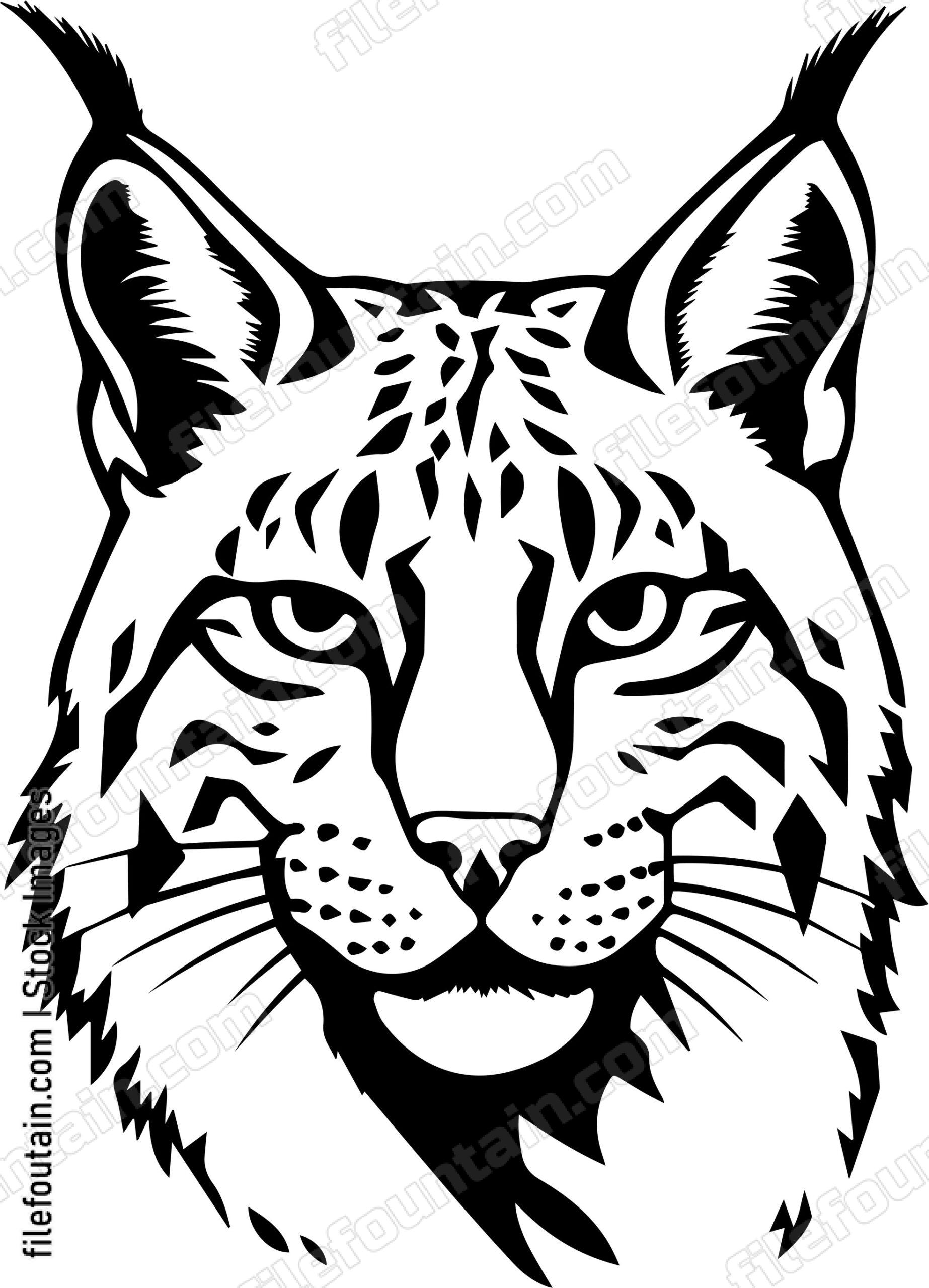 Bobcat