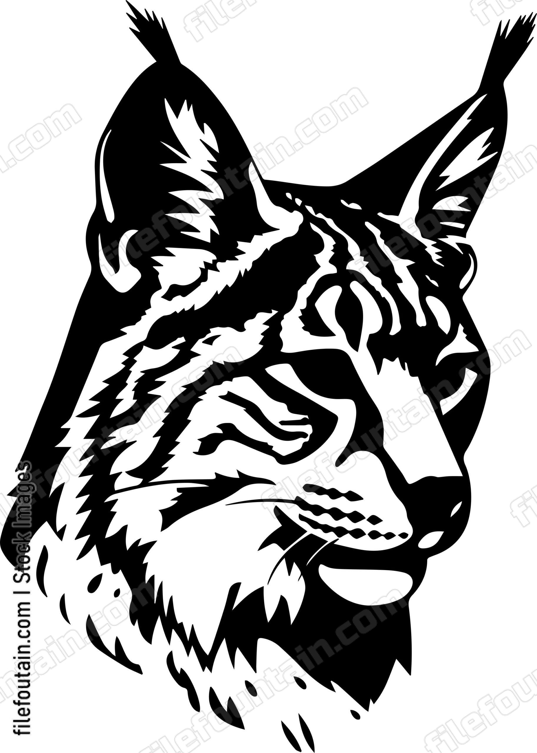 Bobcat