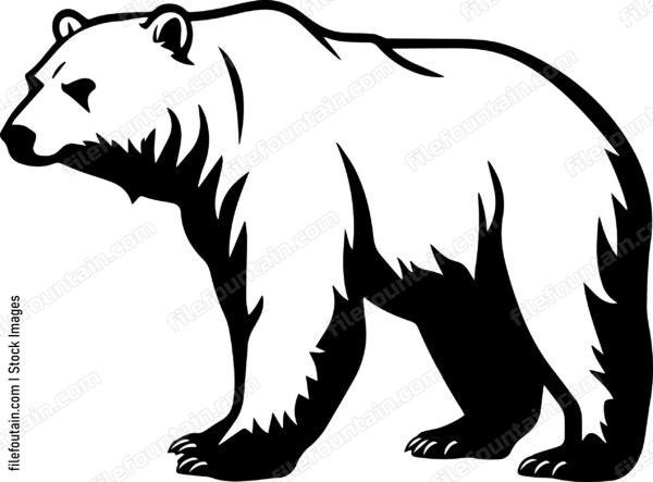 Brown Bear