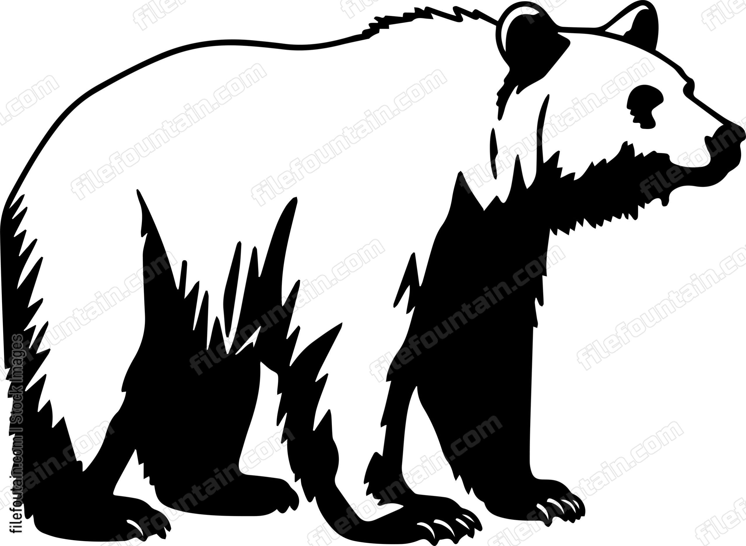 Brown Bear