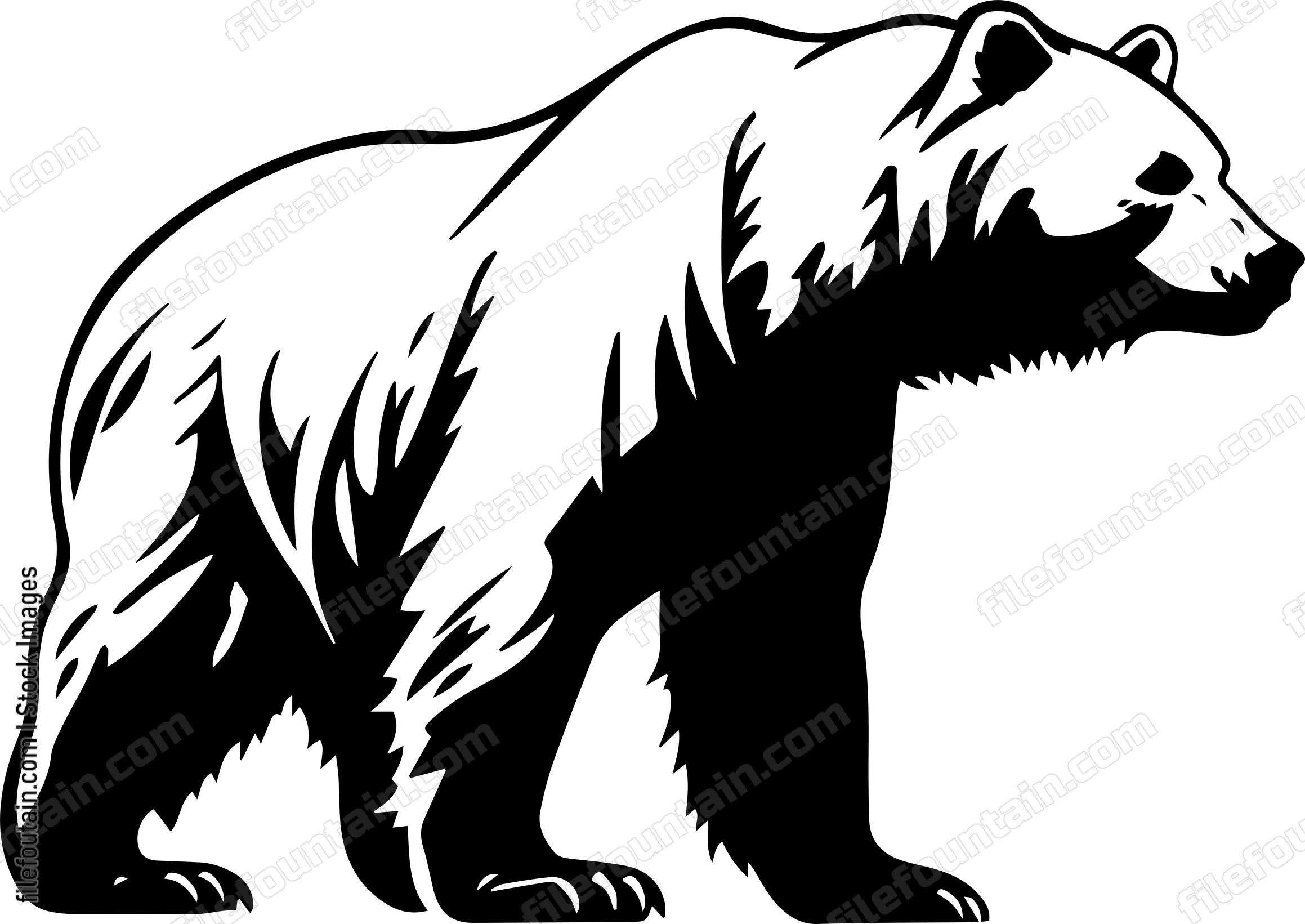 Brown Bear