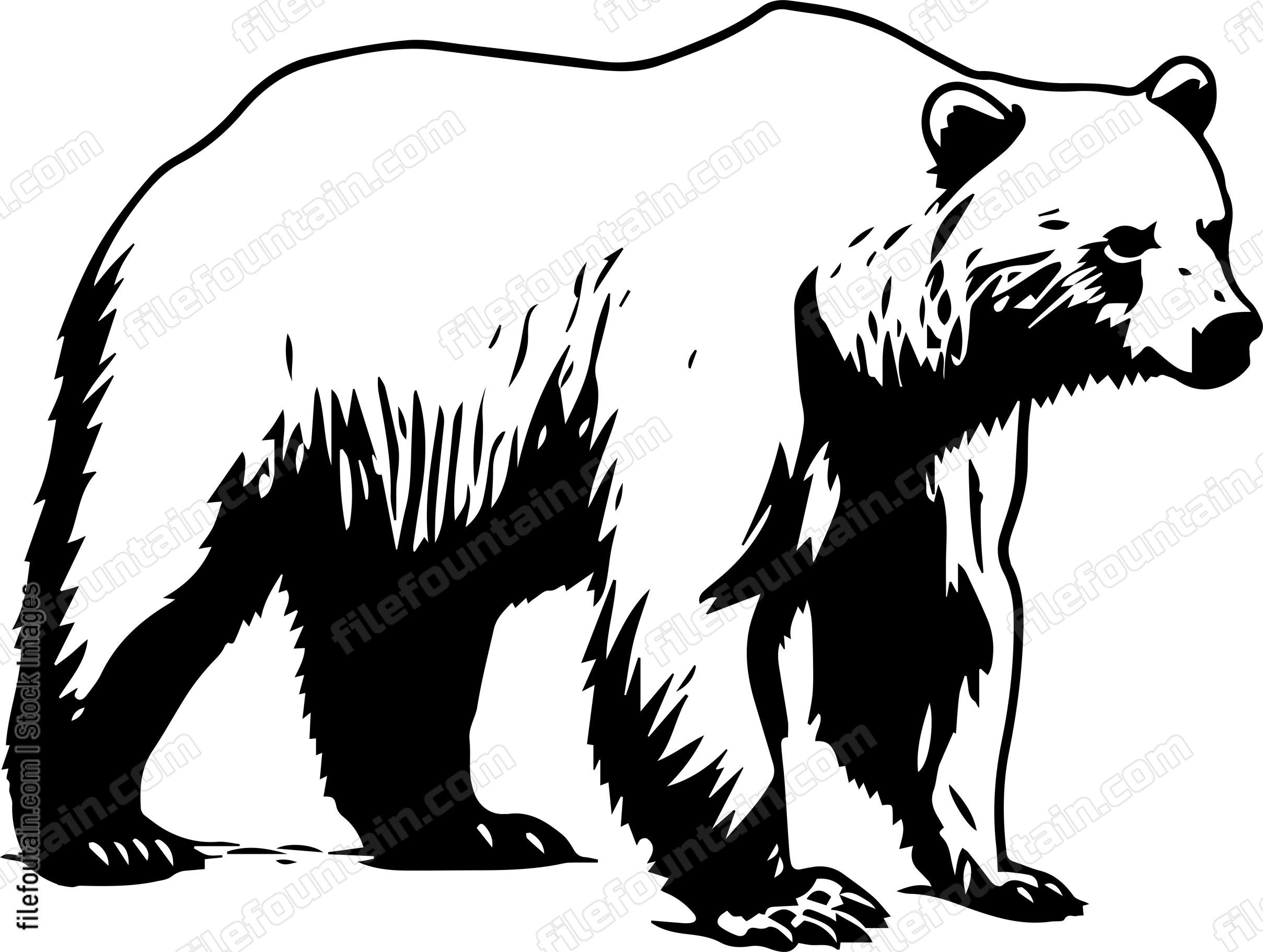 Brown Bear