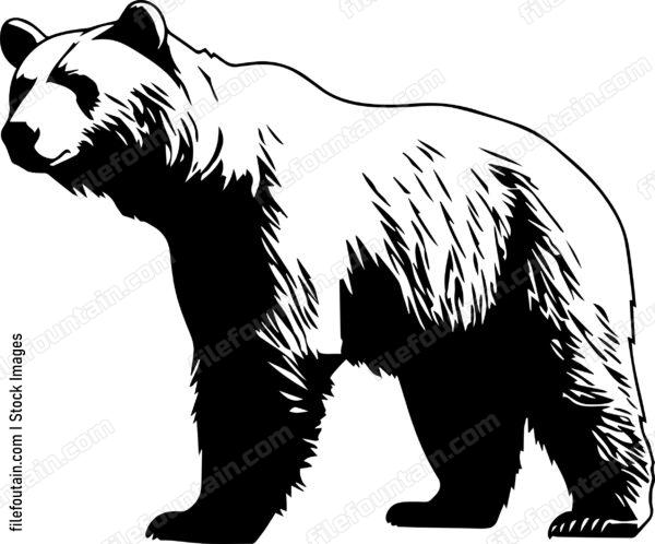 Brown Bear