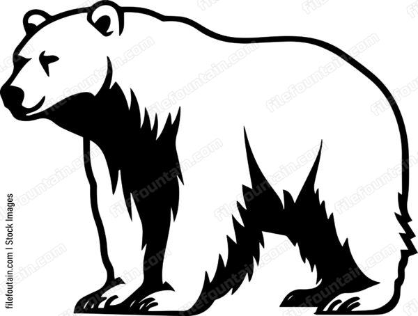 Brown Bear