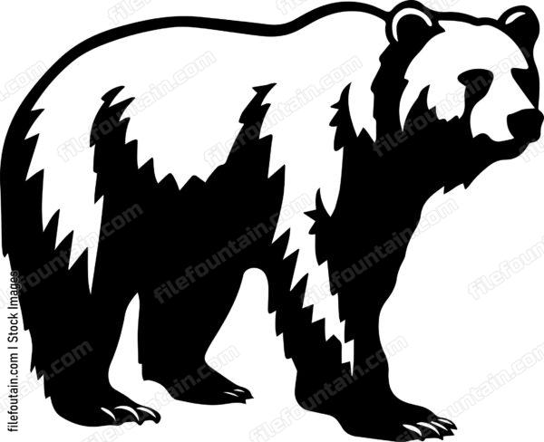 Brown Bear