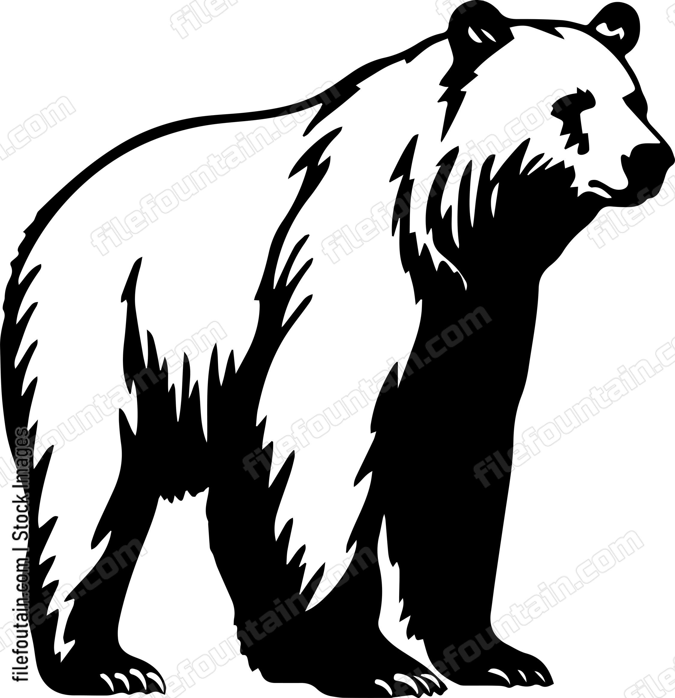 Brown Bear