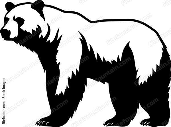 Brown Bear